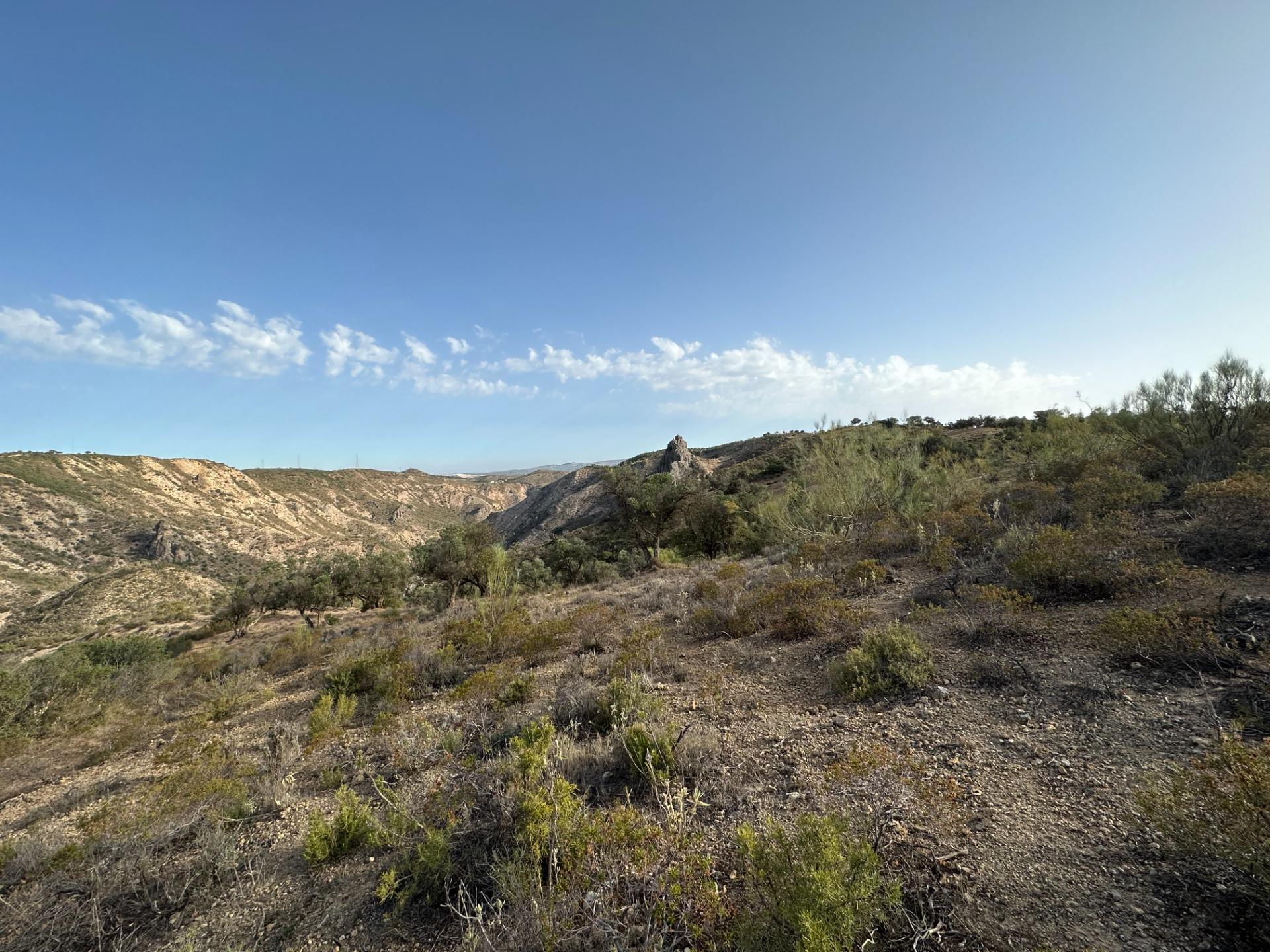 Fincas y solares-Venta-Archidona-1318194-Foto-15