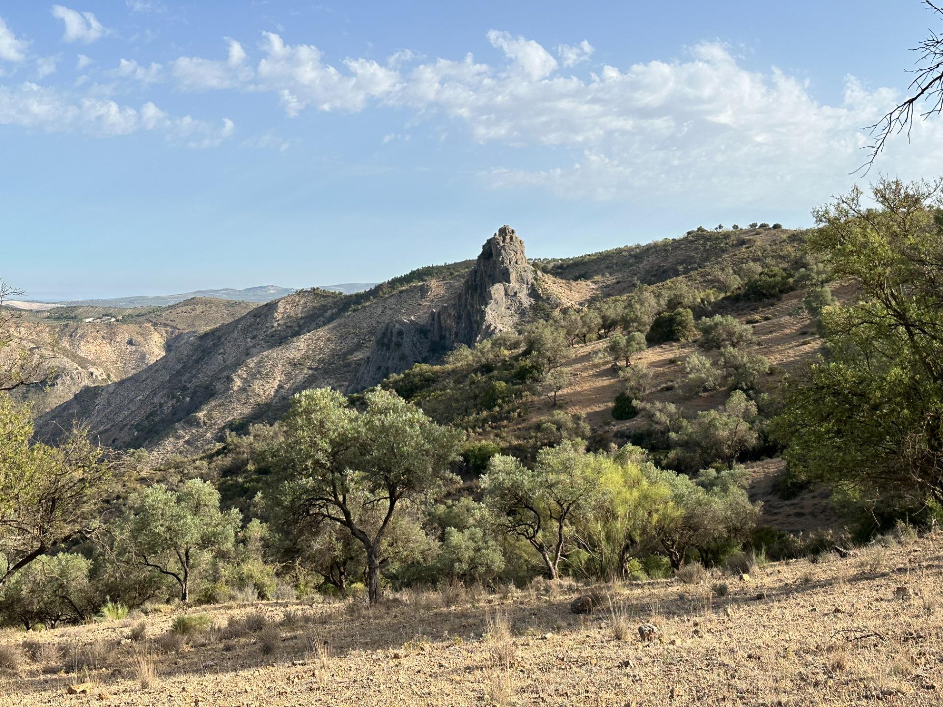 Fincas y solares-Venta-Archidona-1318194-Foto-16