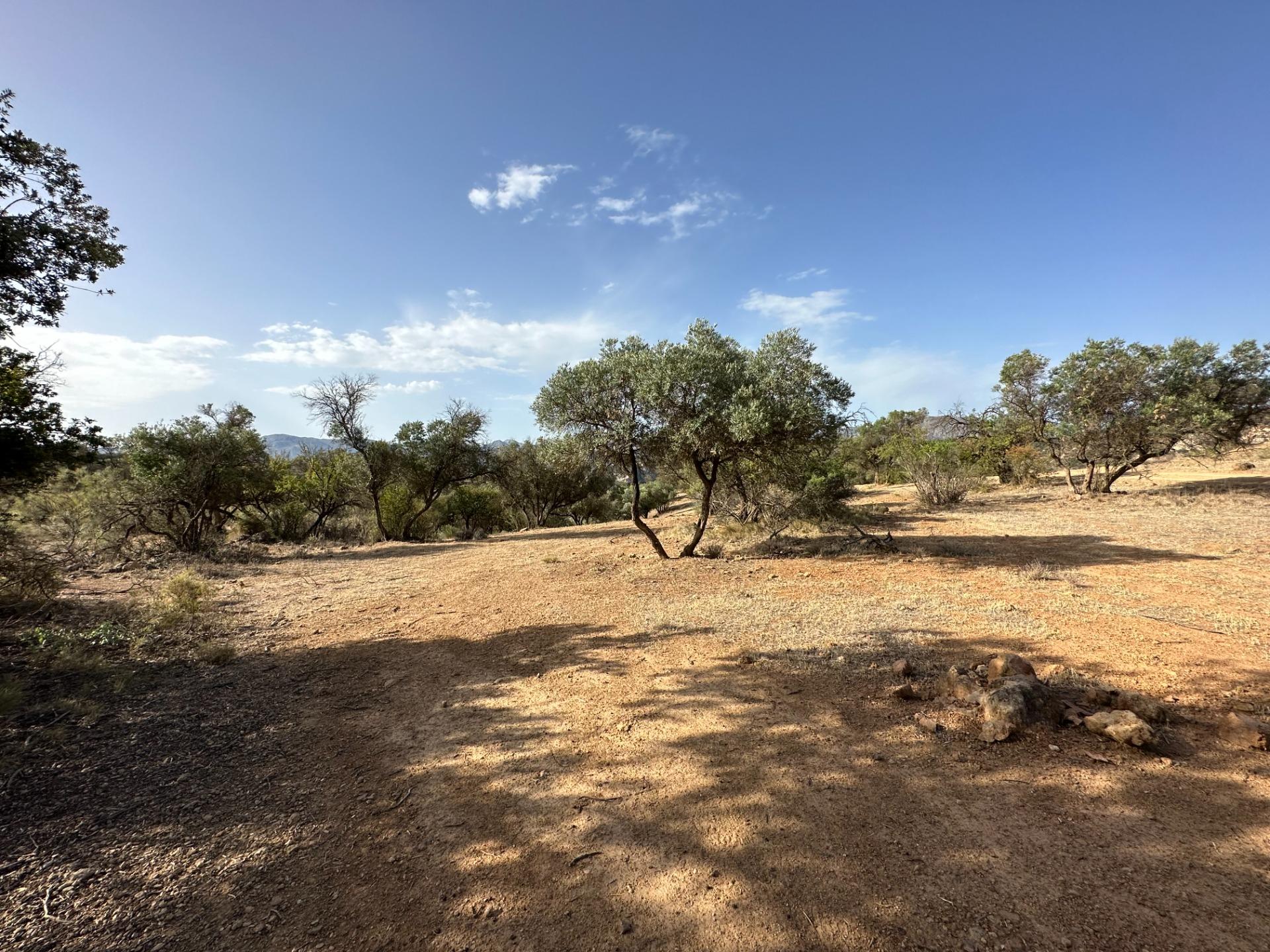 Fincas y solares-Venta-Archidona-1318194-Foto-21