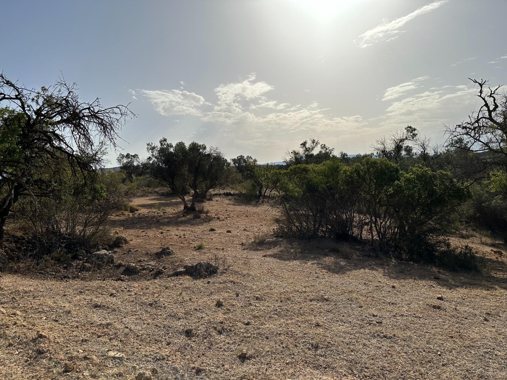 Fincas y solares-Venta-Archidona-1318194-Foto-20