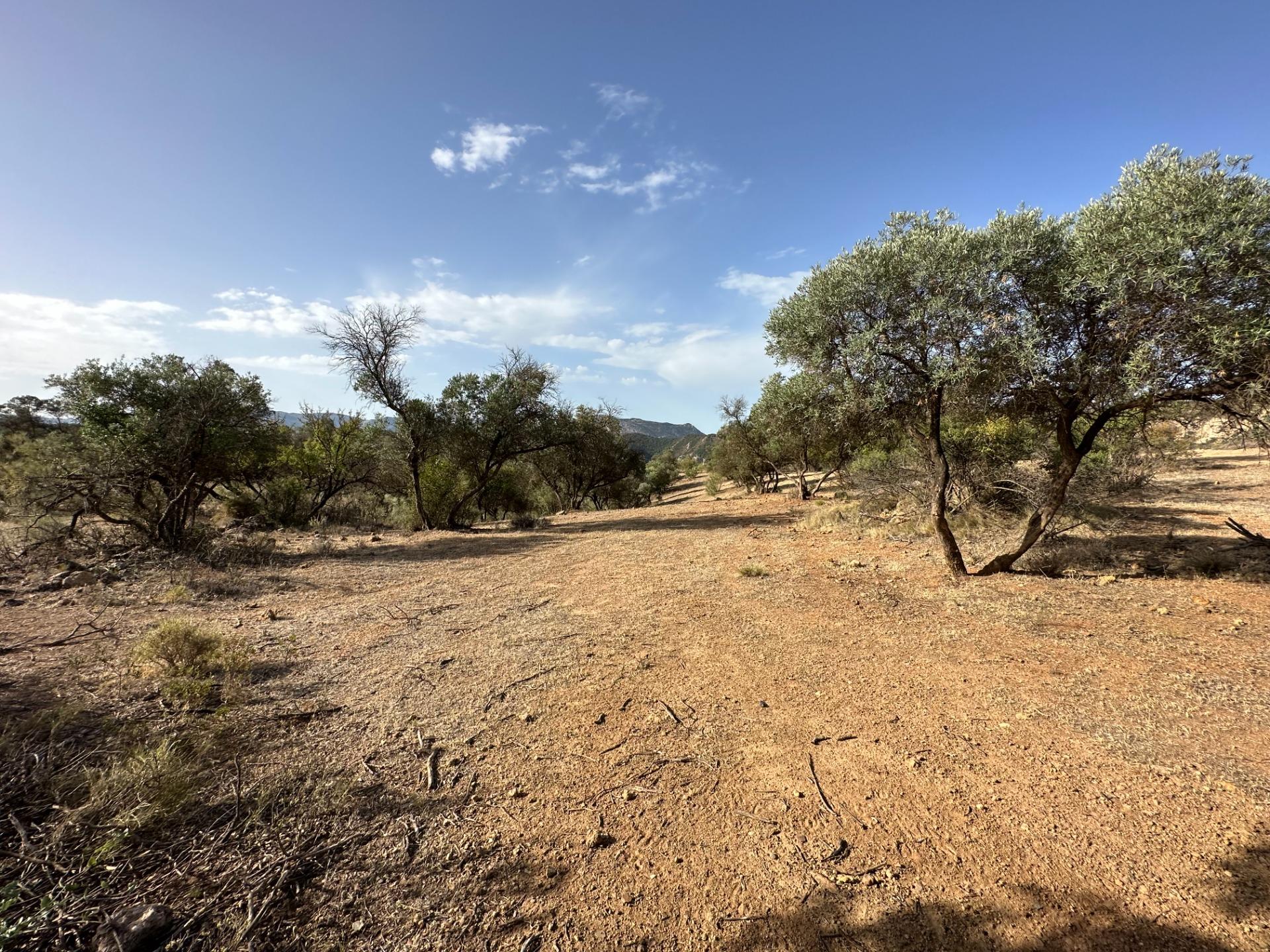 Fincas y solares-Venta-Archidona-1318194-Foto-22