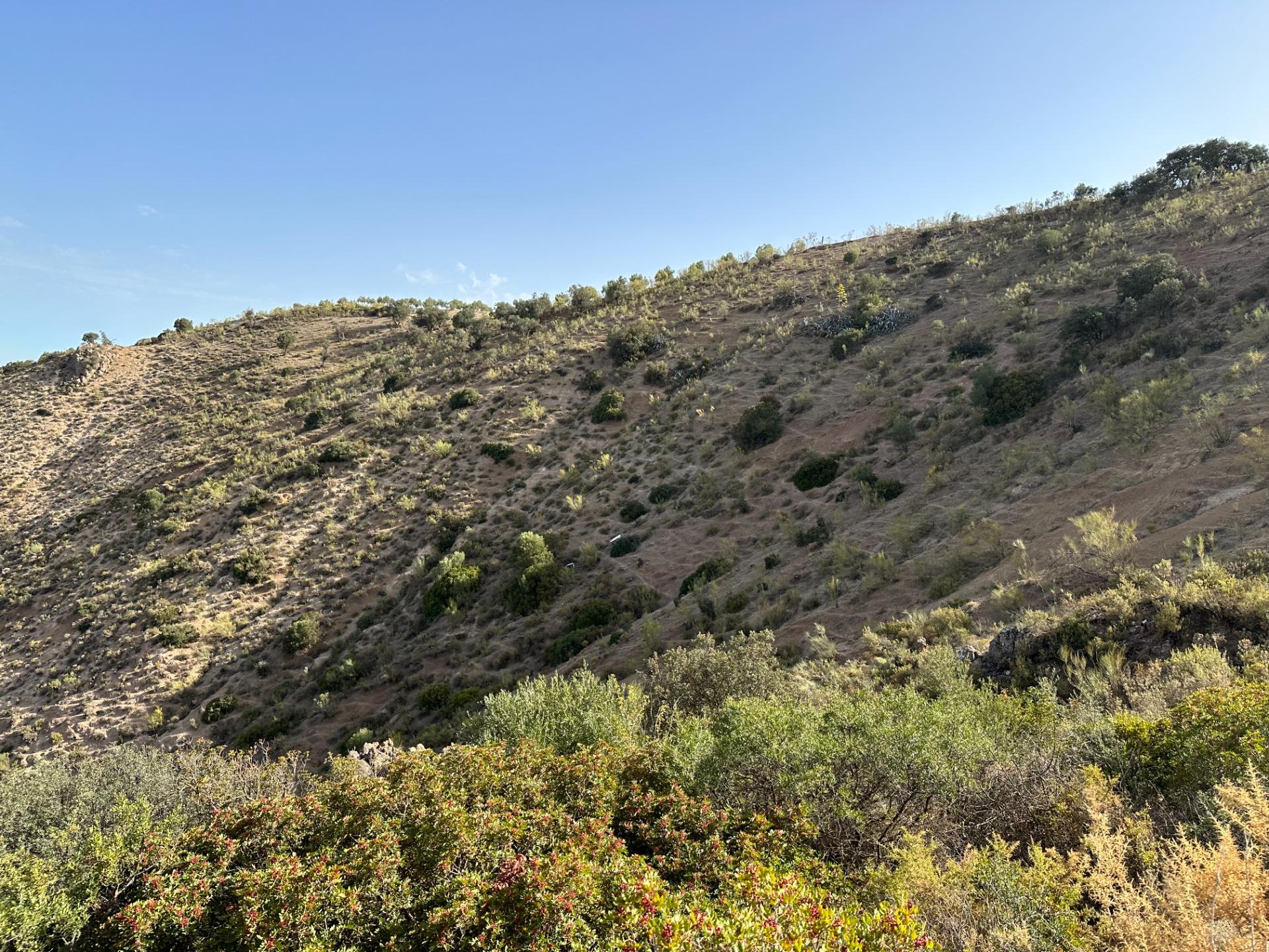 Fincas y solares-Venta-Archidona-1318194-Foto-31