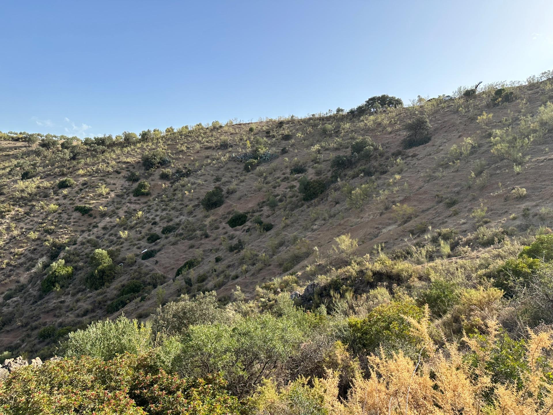 Fincas y solares-Venta-Archidona-1318194-Foto-32