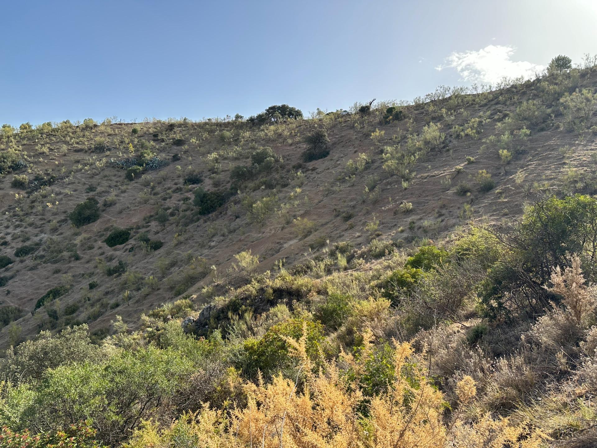 Fincas y solares-Venta-Archidona-1318194-Foto-33