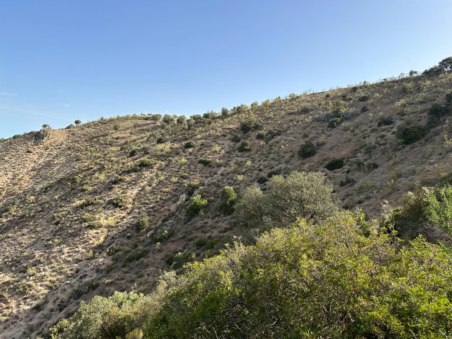 Fincas y solares-Venta-Archidona-1318194-Foto-36