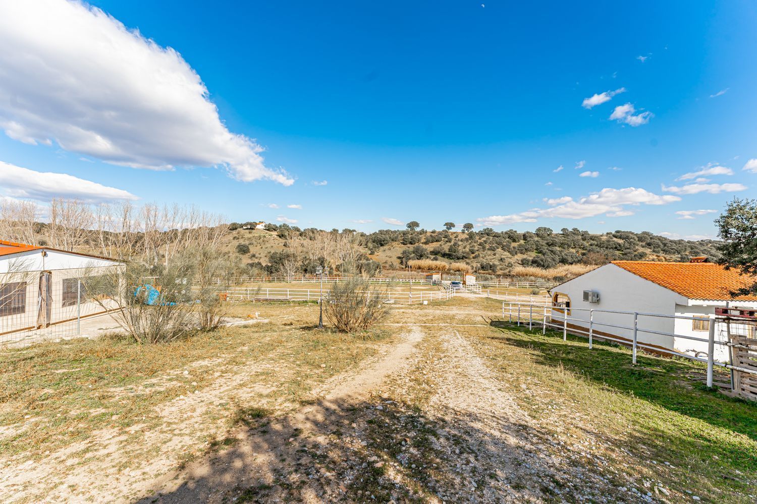 Fincas y solares-Venta-Almorox-994512-Foto-2