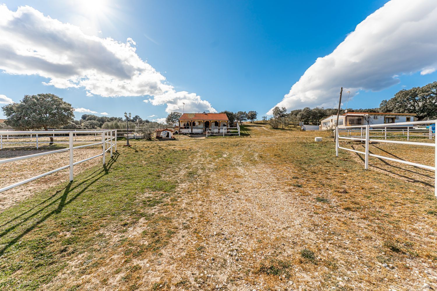 Fincas y solares-Venta-Almorox-994512-Foto-5