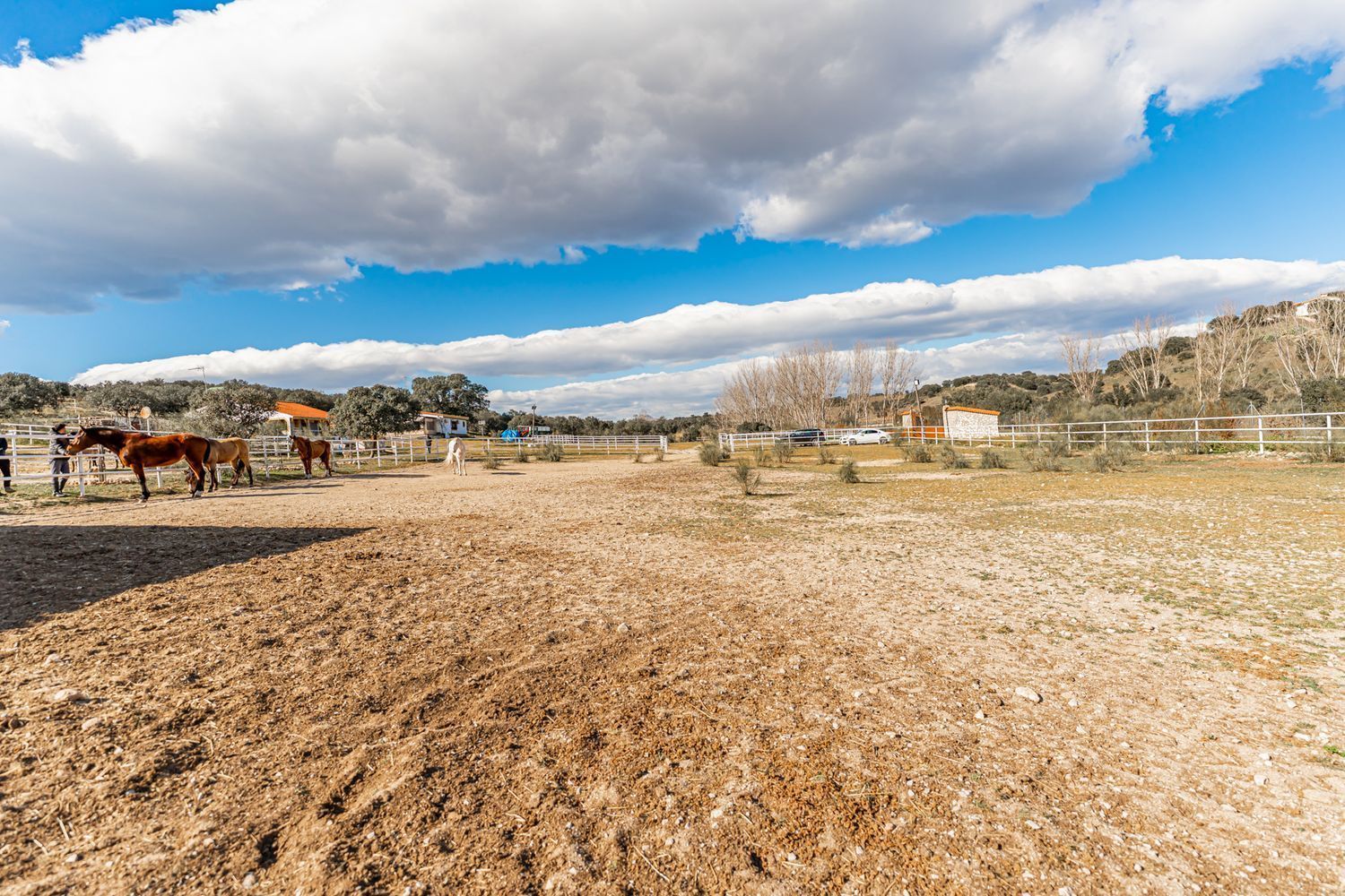 Fincas y solares-Venta-Almorox-994512-Foto-8