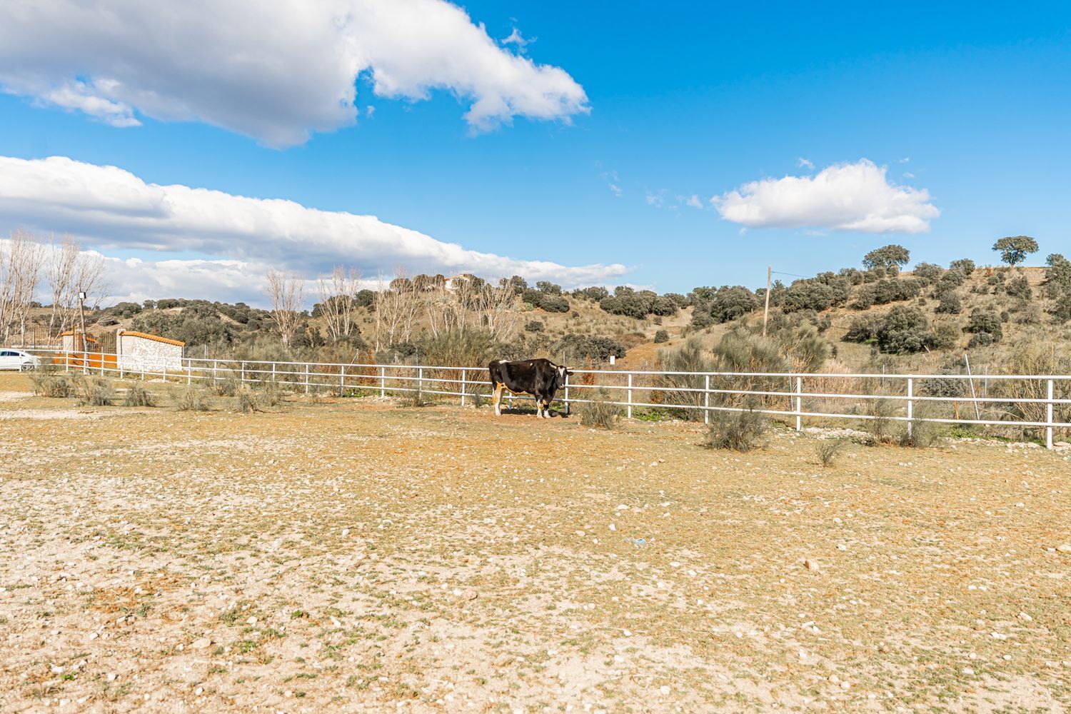 Fincas y solares-Venta-Almorox-994512-Foto-9