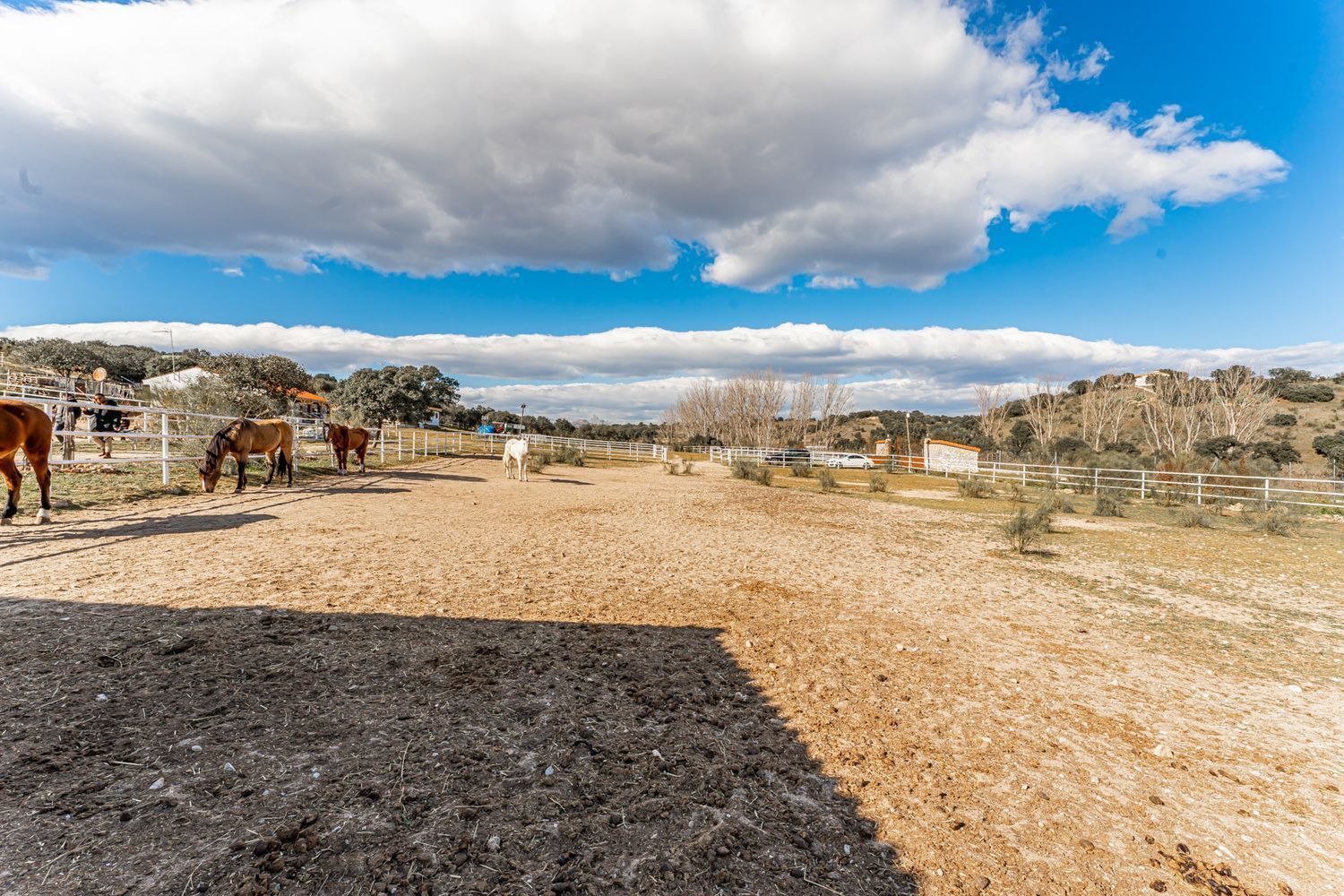 Fincas y solares-Venta-Almorox-994512-Foto-10