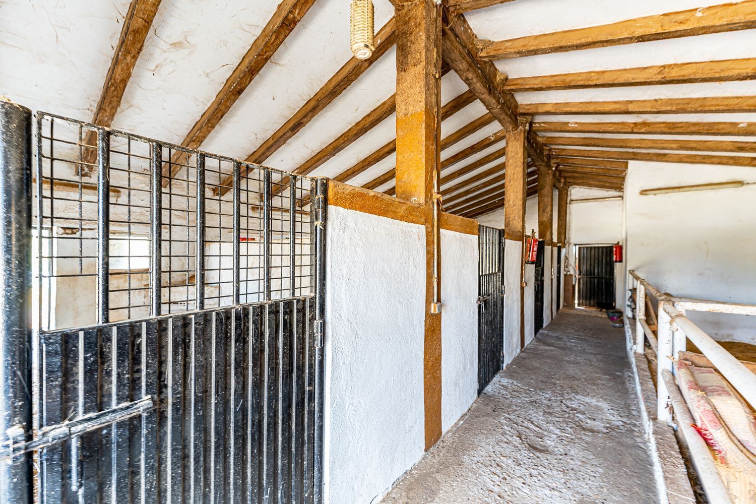 Fincas y solares-Venta-Almorox-994512-Foto-13
