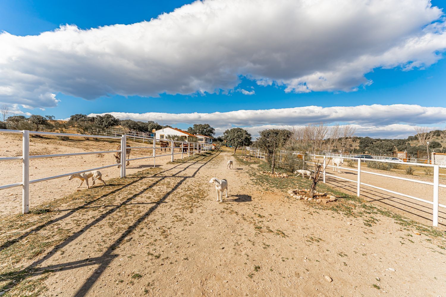 Fincas y solares-Venta-Almorox-994512-Foto-14