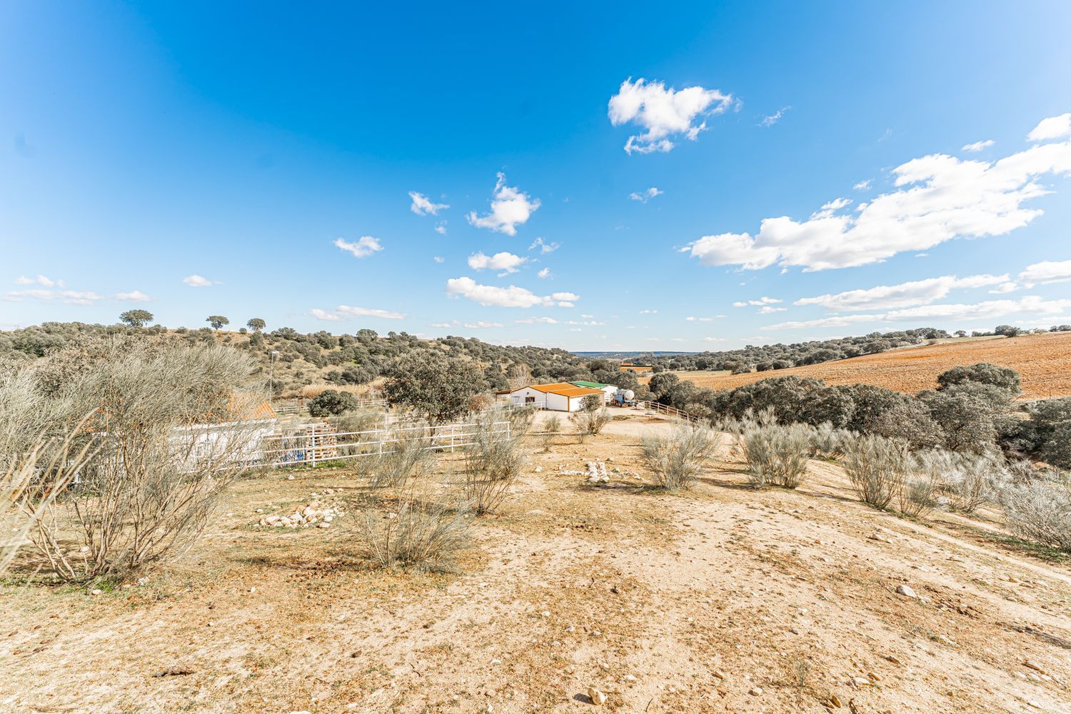 Fincas y solares-Venta-Almorox-994512-Foto-21