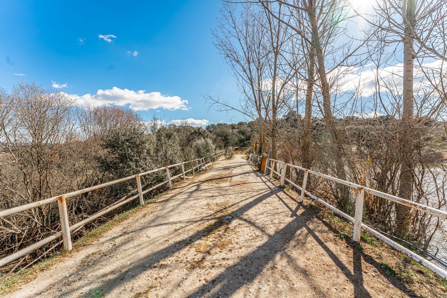 Fincas y solares-Venta-Almorox-994512-Foto-22