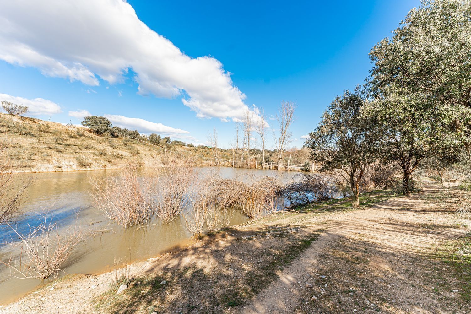 Fincas y solares-Venta-Almorox-994512-Foto-23
