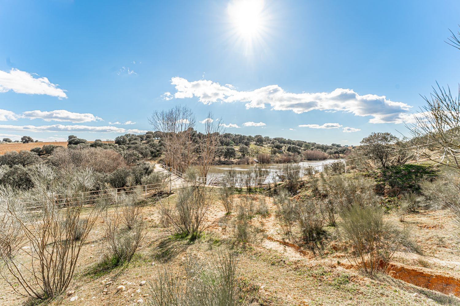Fincas y solares-Venta-Almorox-994512-Foto-26