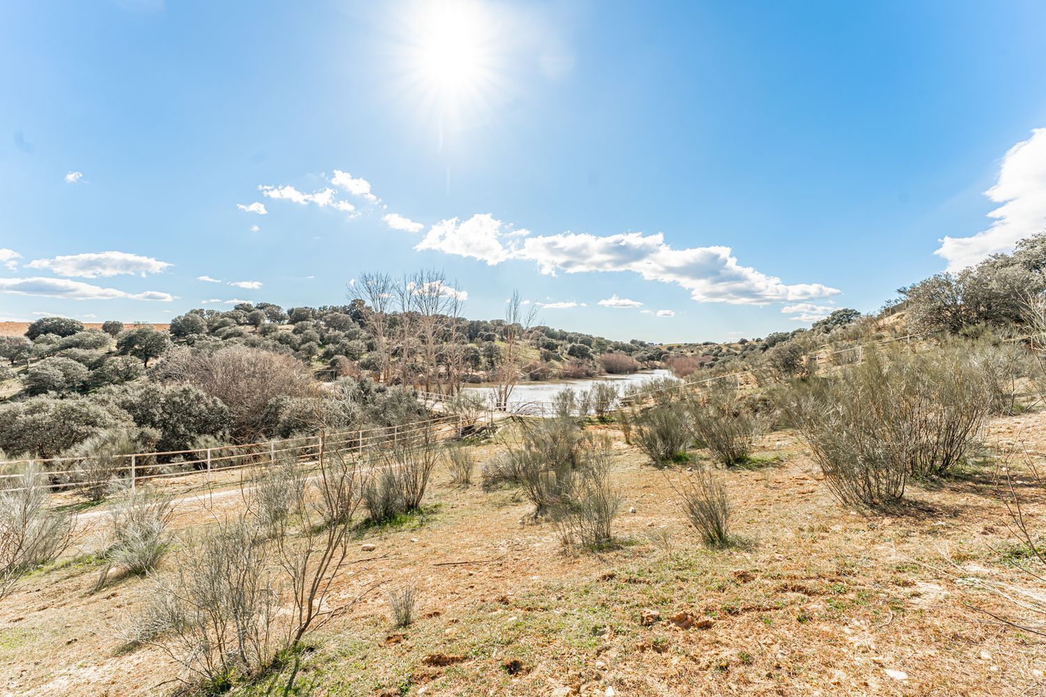 Fincas y solares-Venta-Almorox-994512-Foto-32