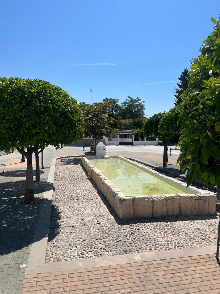 Casas o chalets-Venta-Lucena-1843031-Foto-22