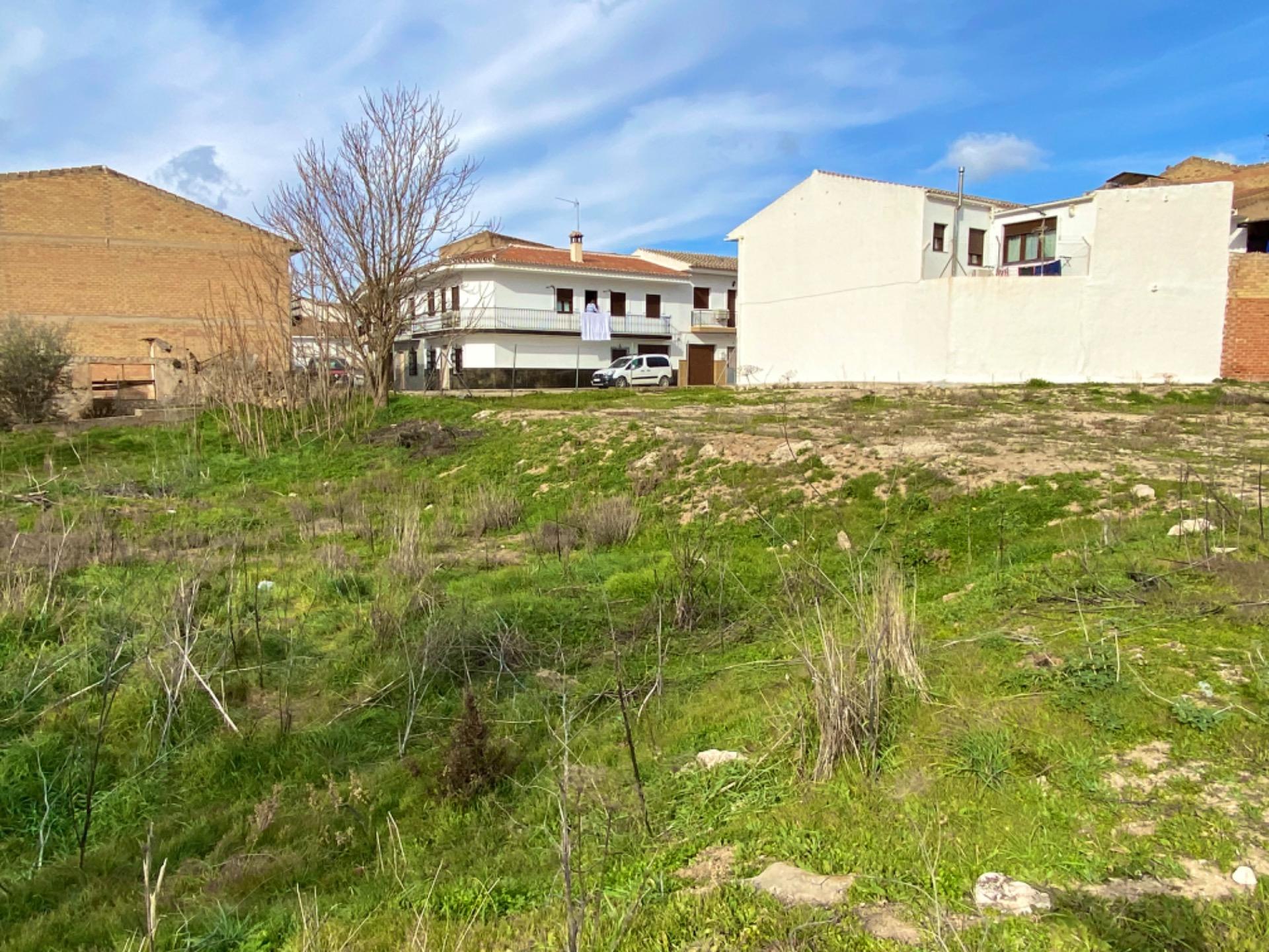 Fincas y solares-Venta-Villanueva del Trabuco-1396503