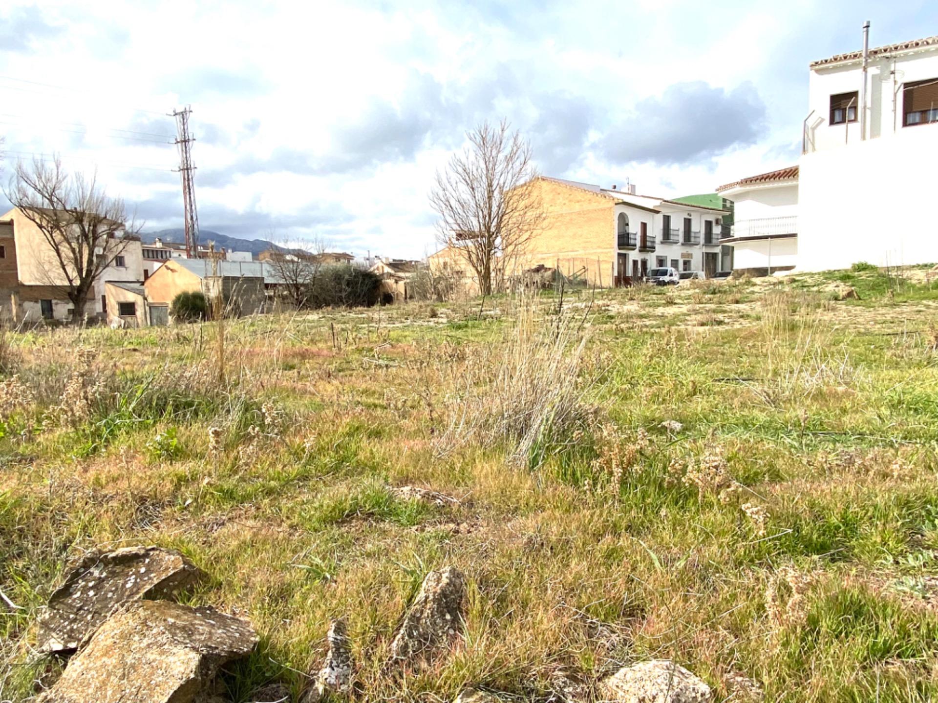 Fincas y solares-Venta-Villanueva del Trabuco-1396503-Foto-2
