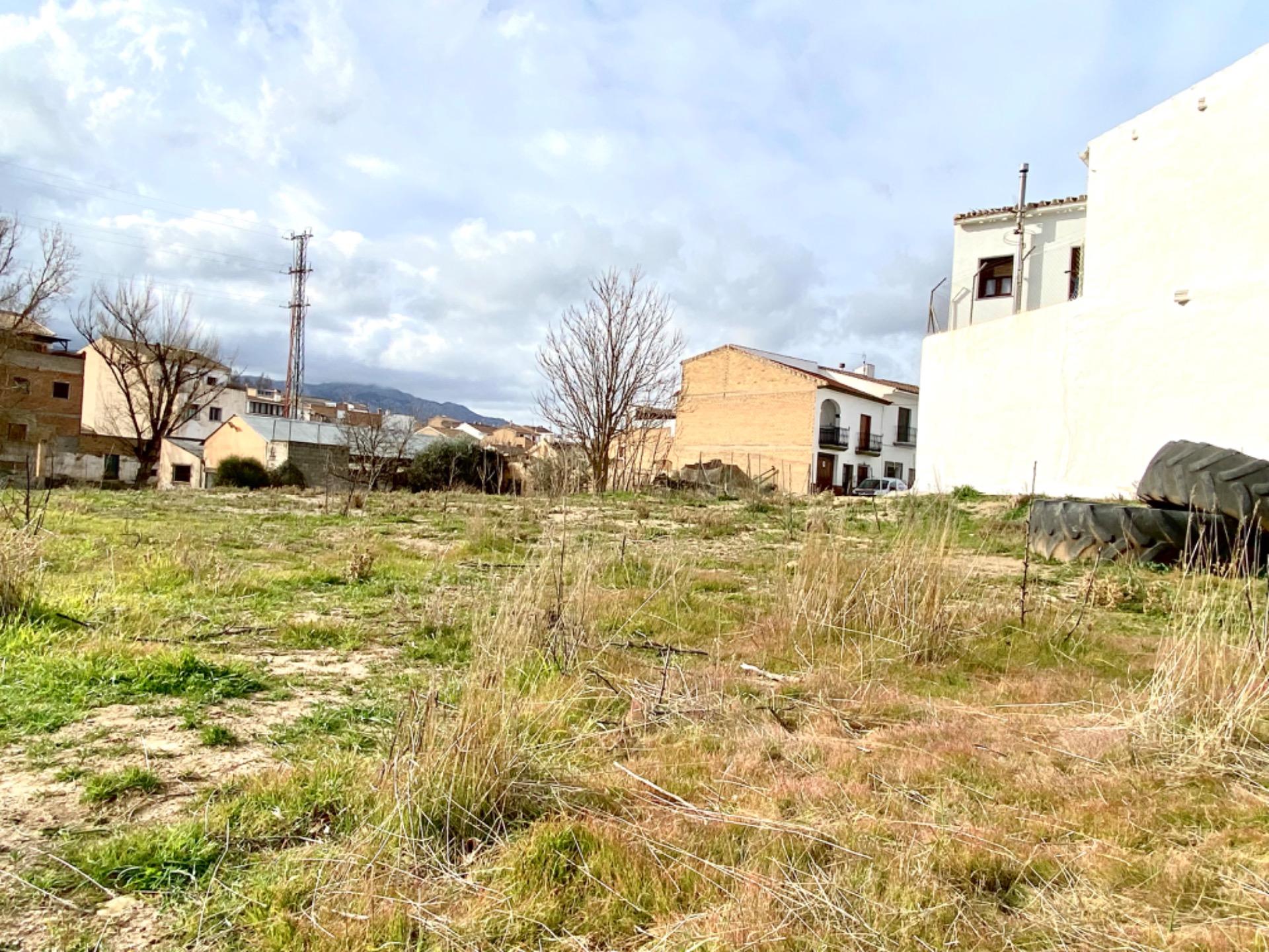 Fincas y solares-Venta-Villanueva del Trabuco-1396503-Foto-5
