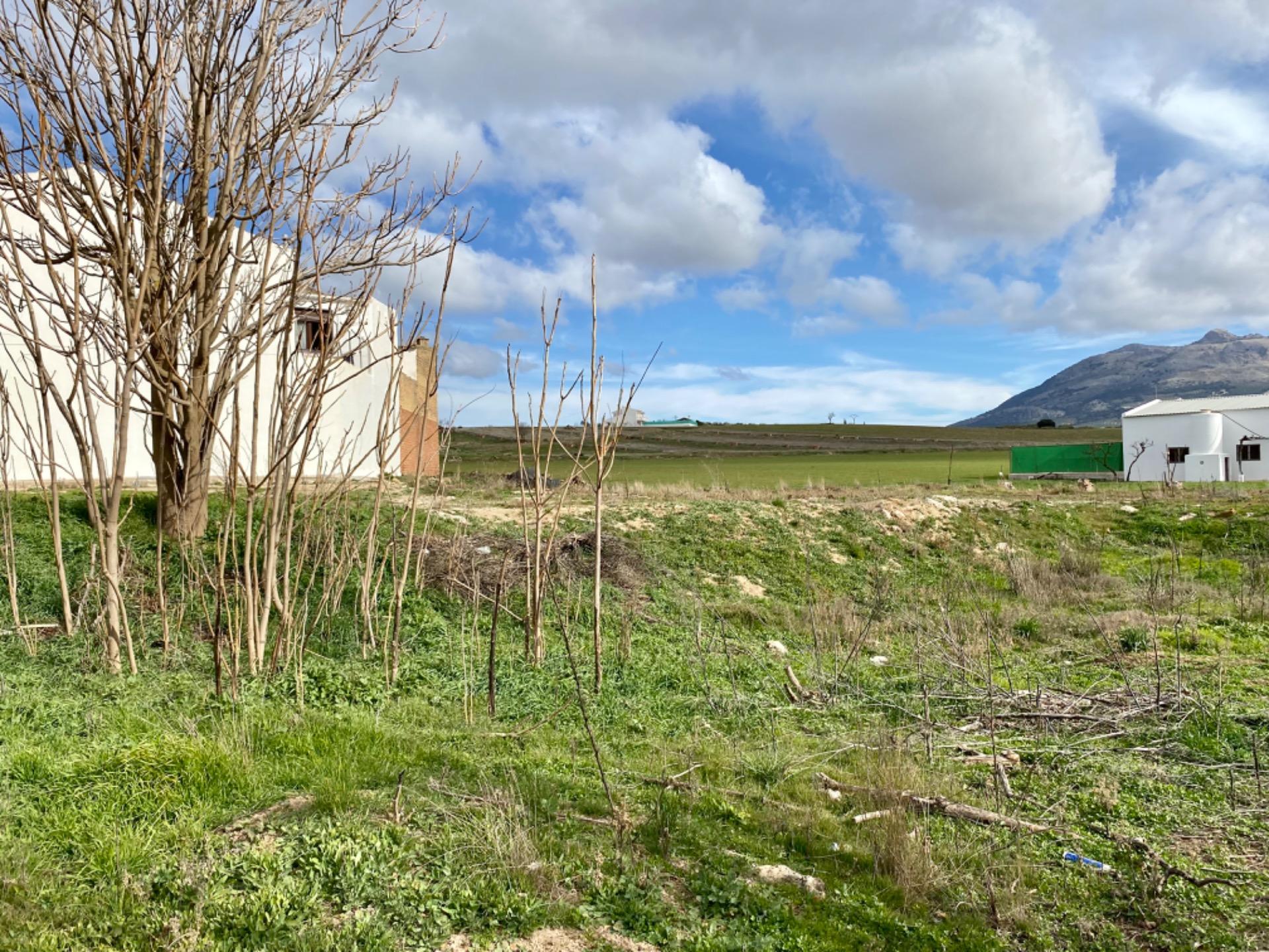Fincas y solares-Venta-Villanueva del Trabuco-1396503-Foto-3