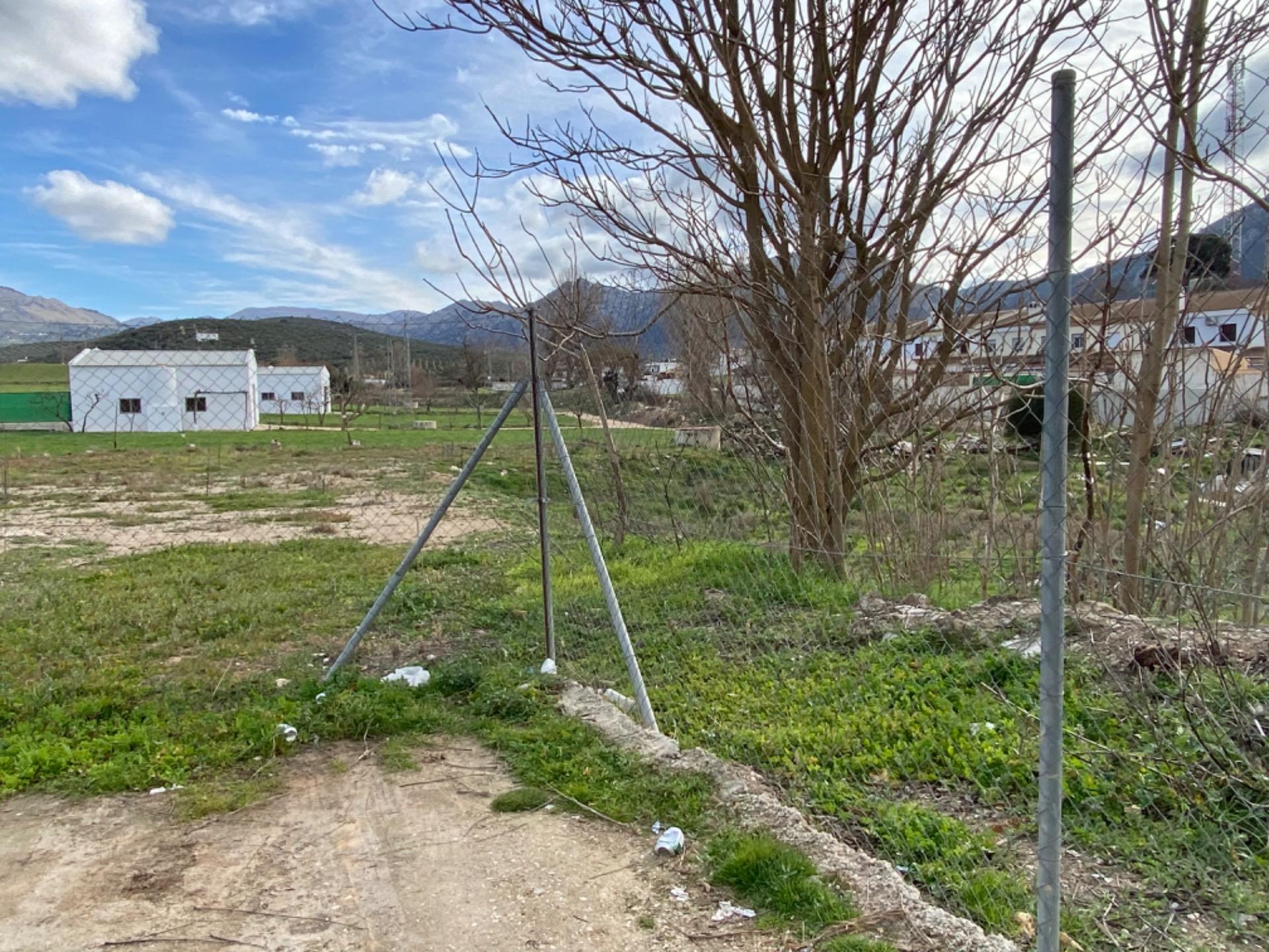 Fincas y solares-Venta-Villanueva del Trabuco-1396503-Foto-12