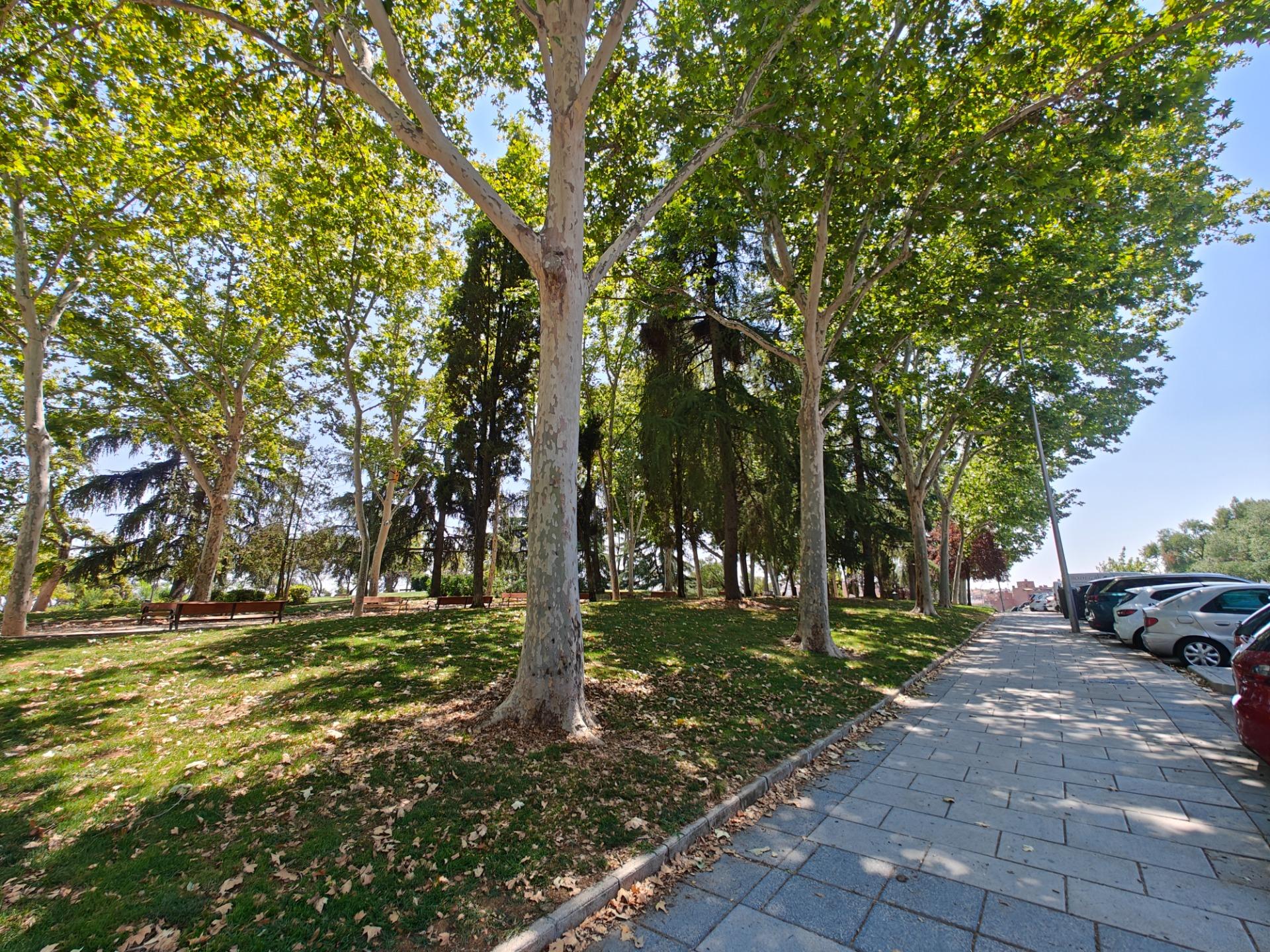 Pisos-Venta-Madrid-1396505-Foto-47