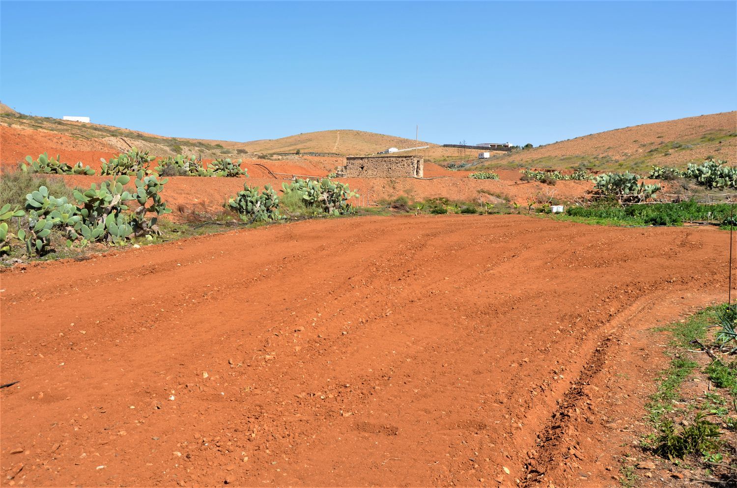 Fincas y solares-Venta-La Antigua-919693-Foto-31