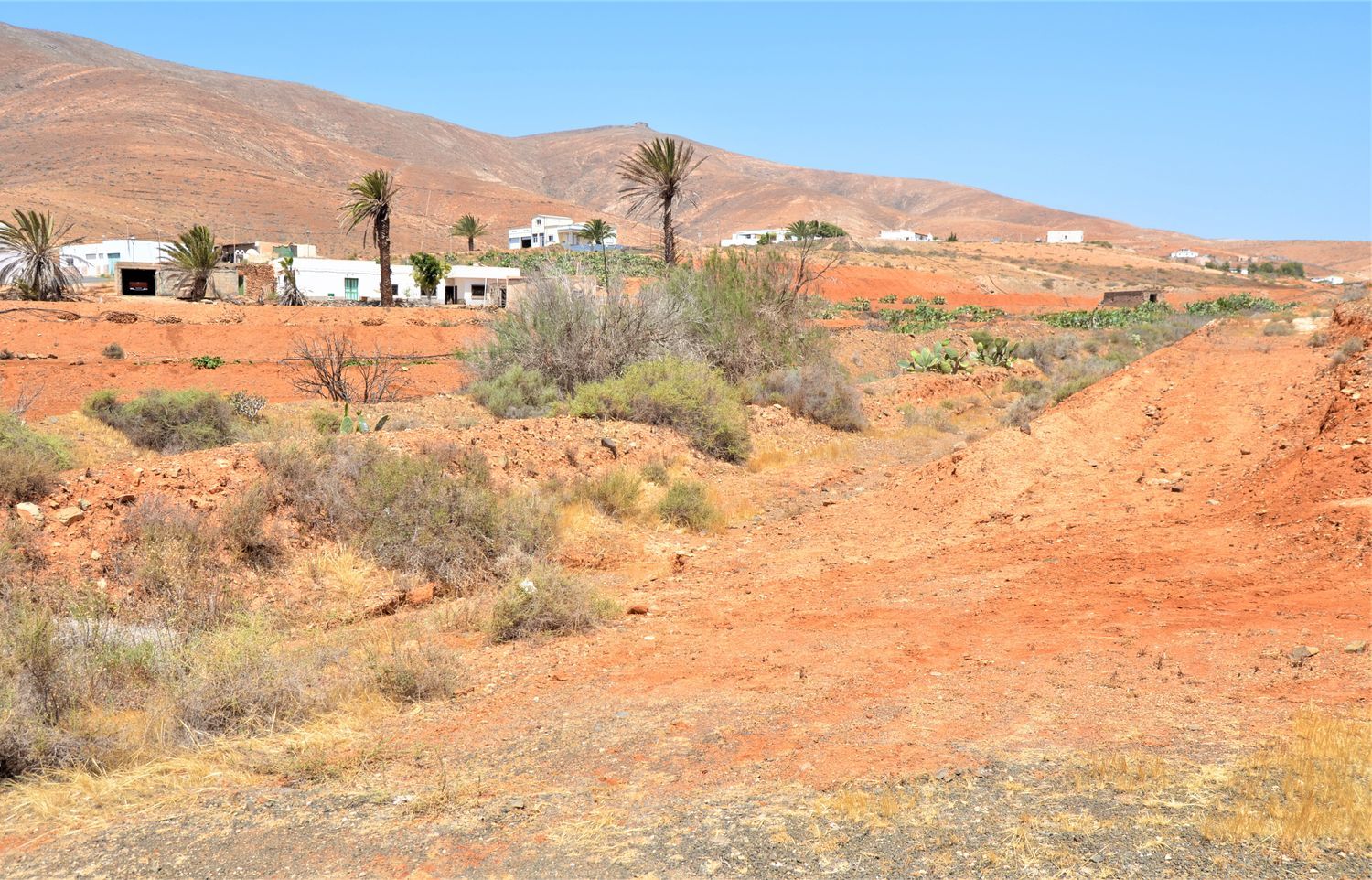 Fincas y solares-Venta-La Antigua-919693-Foto-33