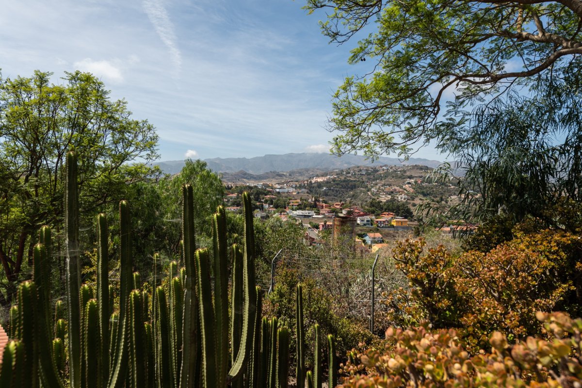 Pisos-Venta-Santa BrÃ­gida-730966-Foto-99