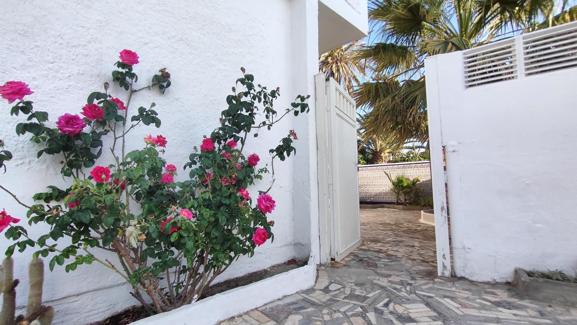 Pisos-Alquiler-AlmerÃ­a-1318210-Foto-6