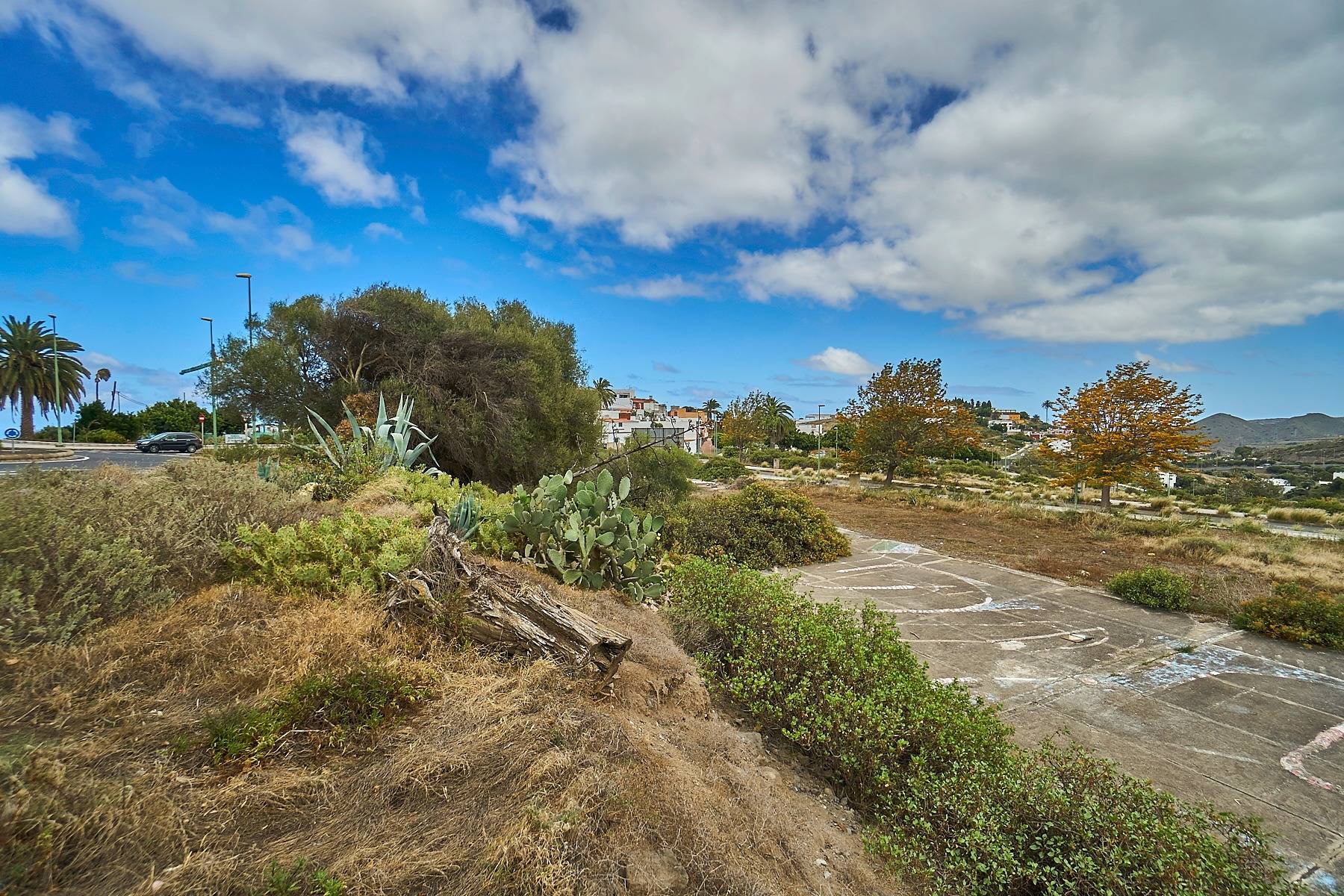 Fincas y solares-Venta-Las Palmas de Gran Canaria-1090465-Foto-8