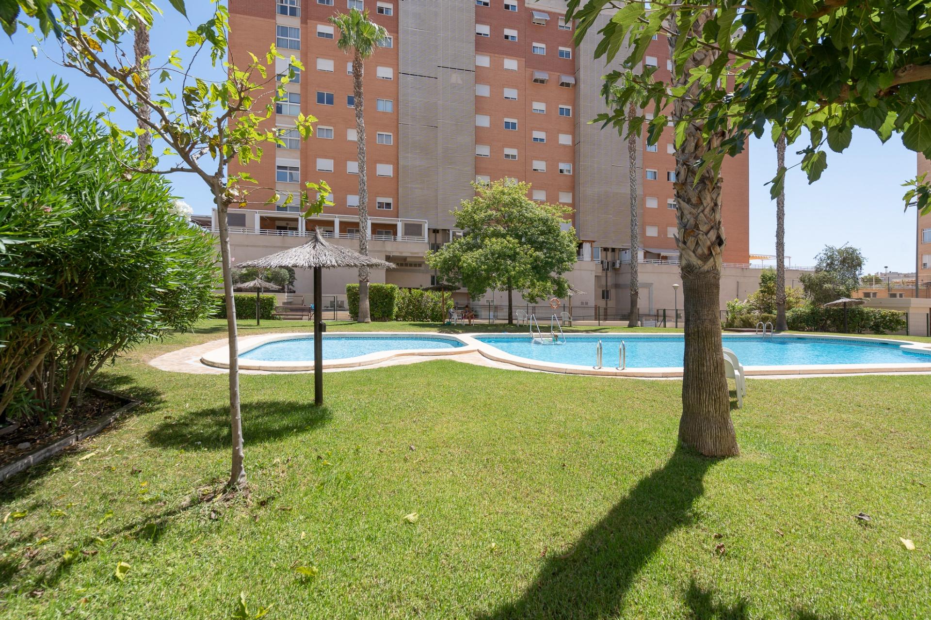 Pisos-Venta-Alicante-1411612-Foto-44