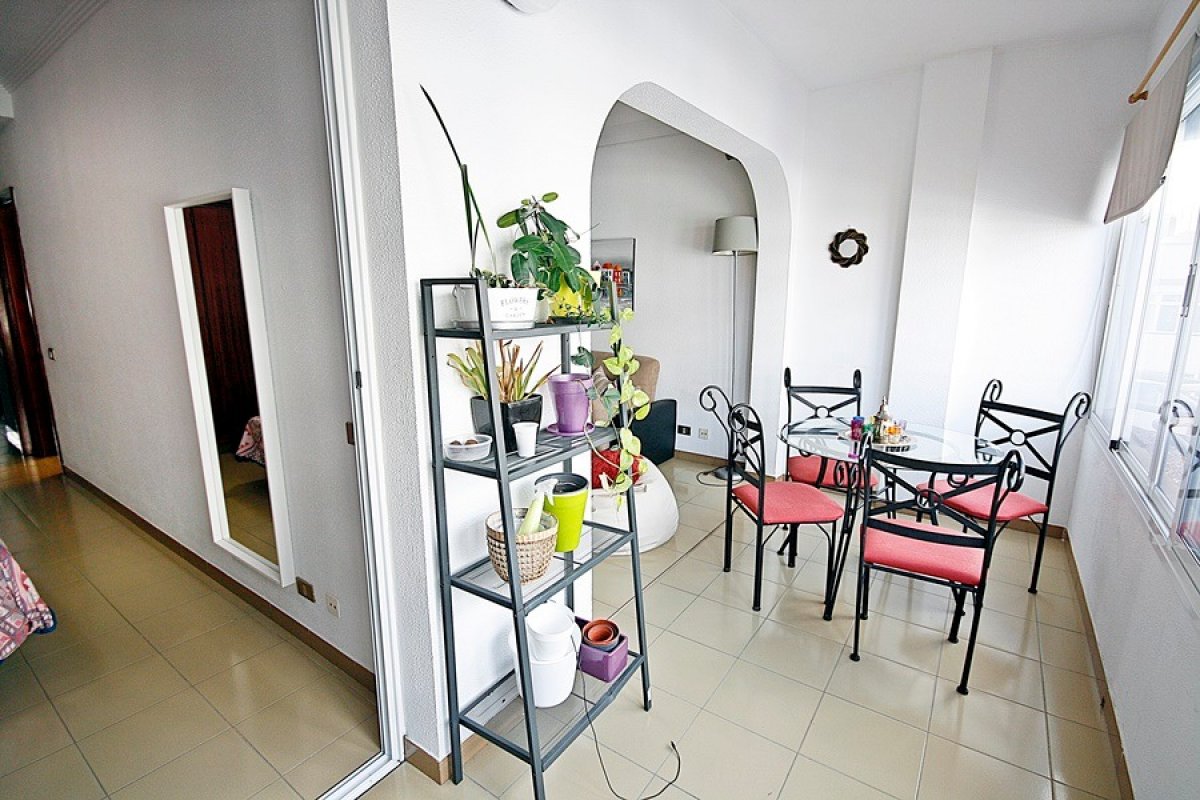 Pisos-Alquiler-Las Palmas de Gran Canaria-1414462-Foto-14