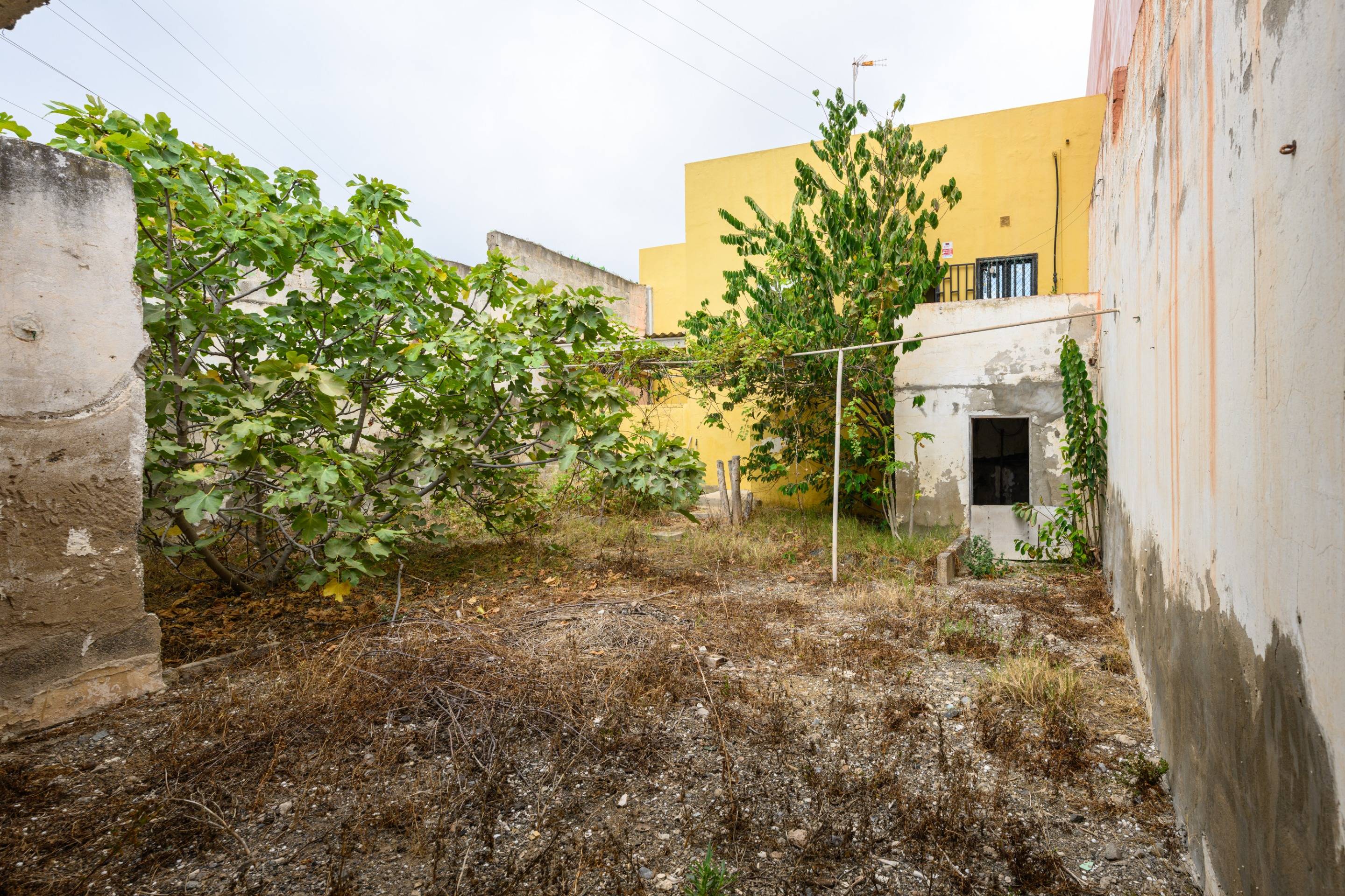 Casas o chalets-Venta-Las Palmas de Gran Canaria-1415081-Foto-39