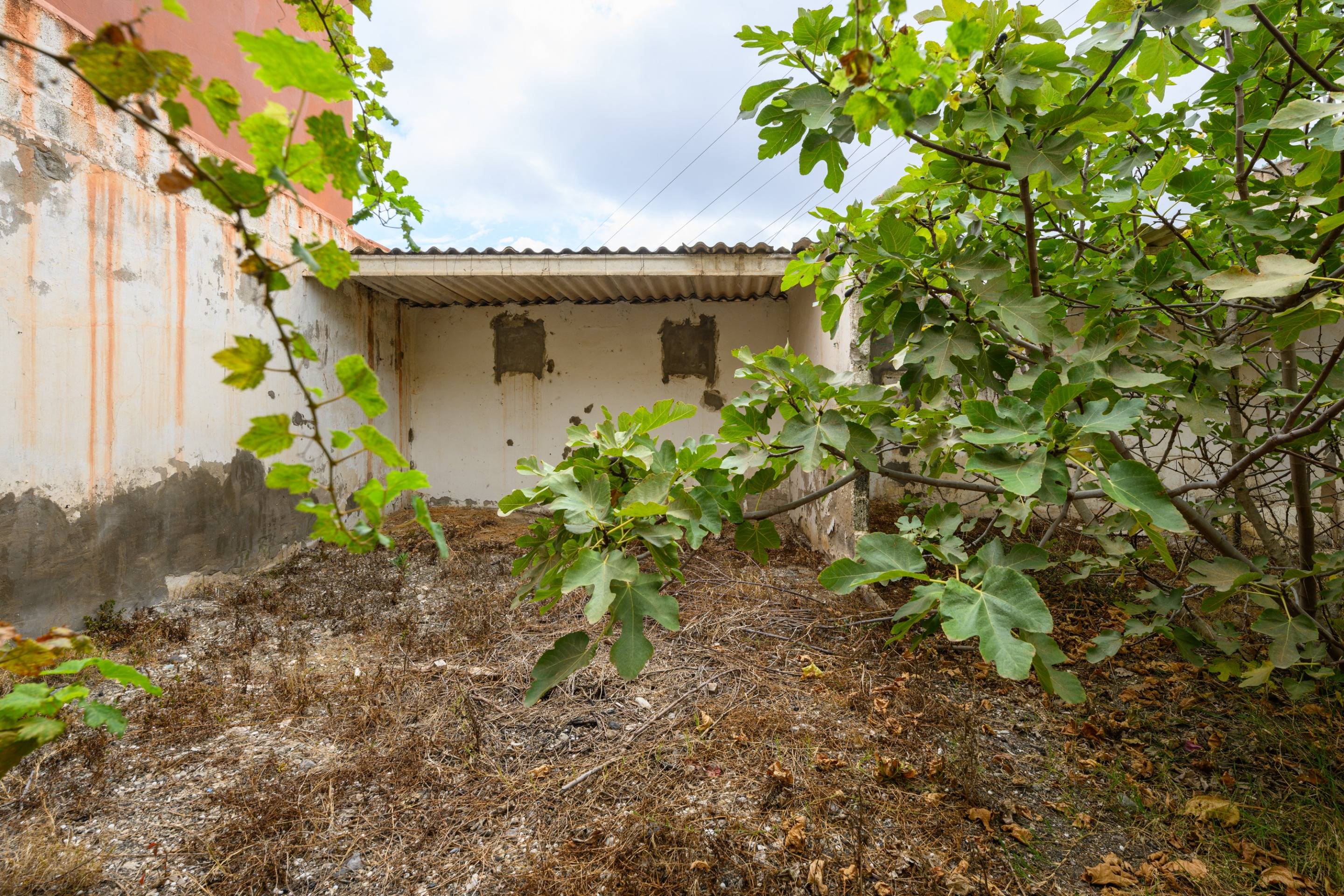 Casas o chalets-Venta-Las Palmas de Gran Canaria-1415081-Foto-37