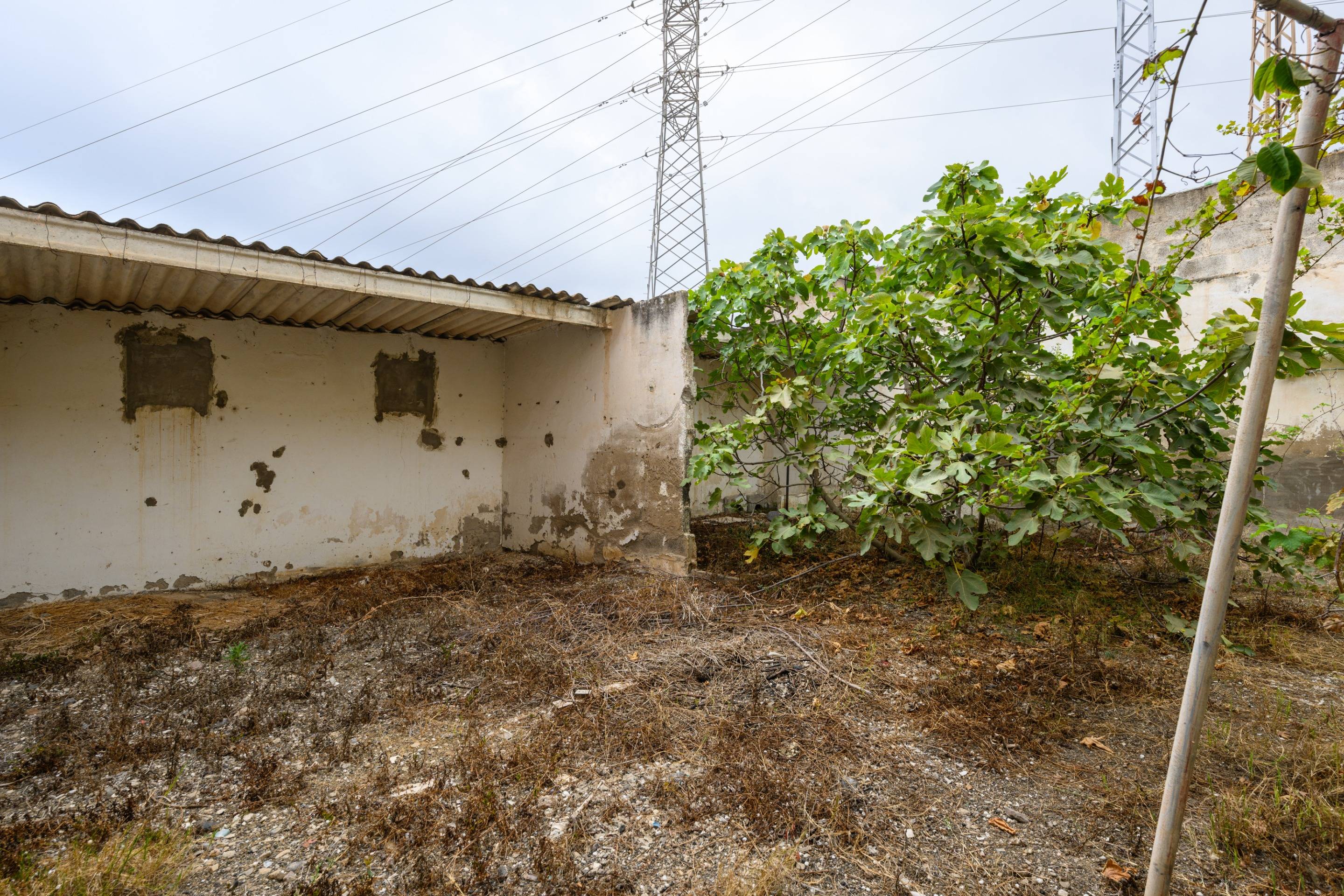 Casas o chalets-Venta-Las Palmas de Gran Canaria-1415081-Foto-38