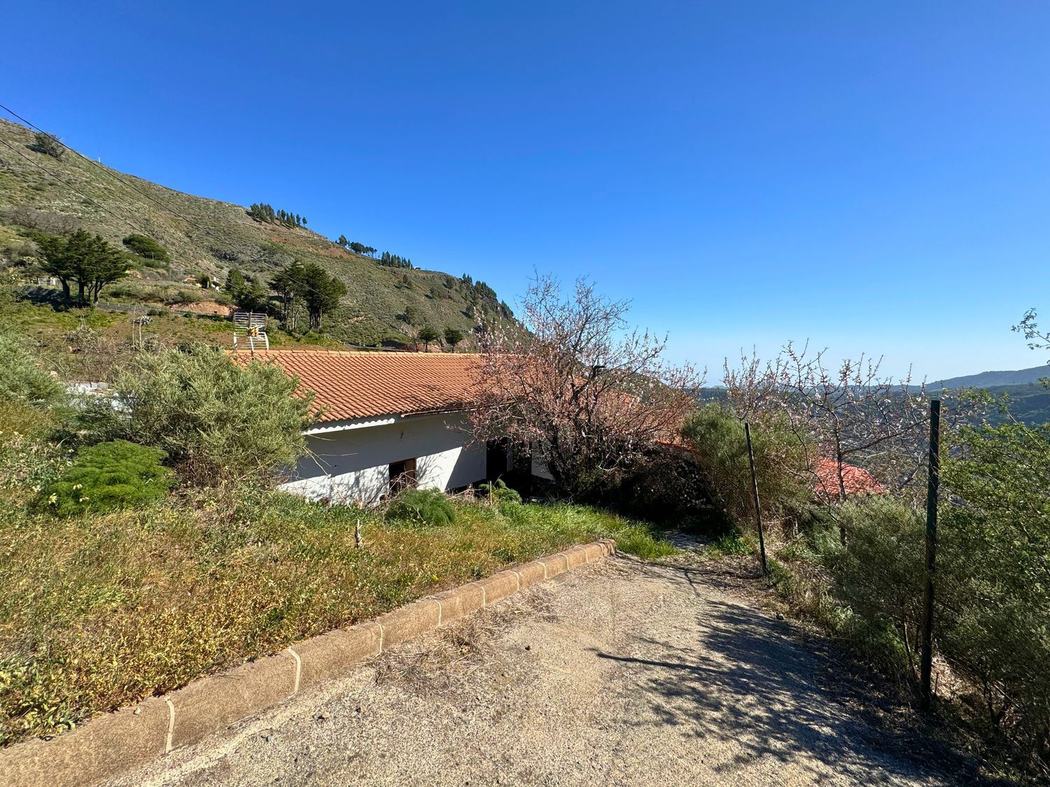 Casas o chalets-Venta-Vega de San Mateo-1048835-Foto-3