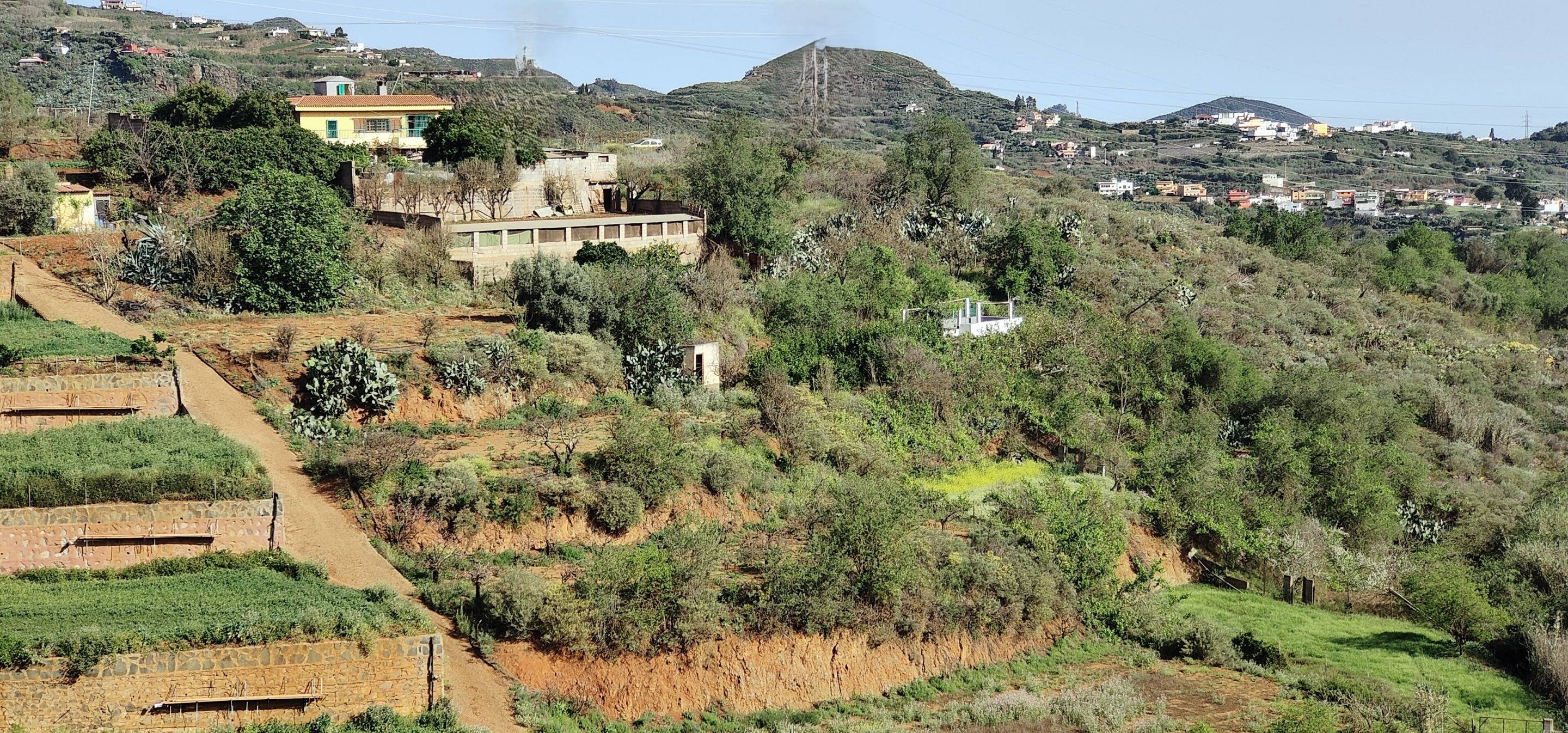 Casas o chalets-Venta-Vega de San Mateo-731031-Foto-13
