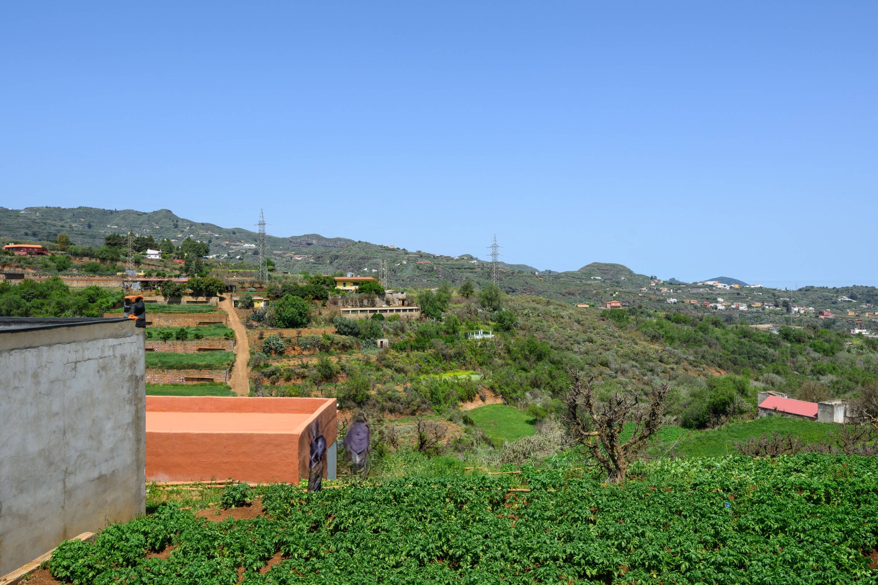 Casas o chalets-Venta-Vega de San Mateo-731031-Foto-45