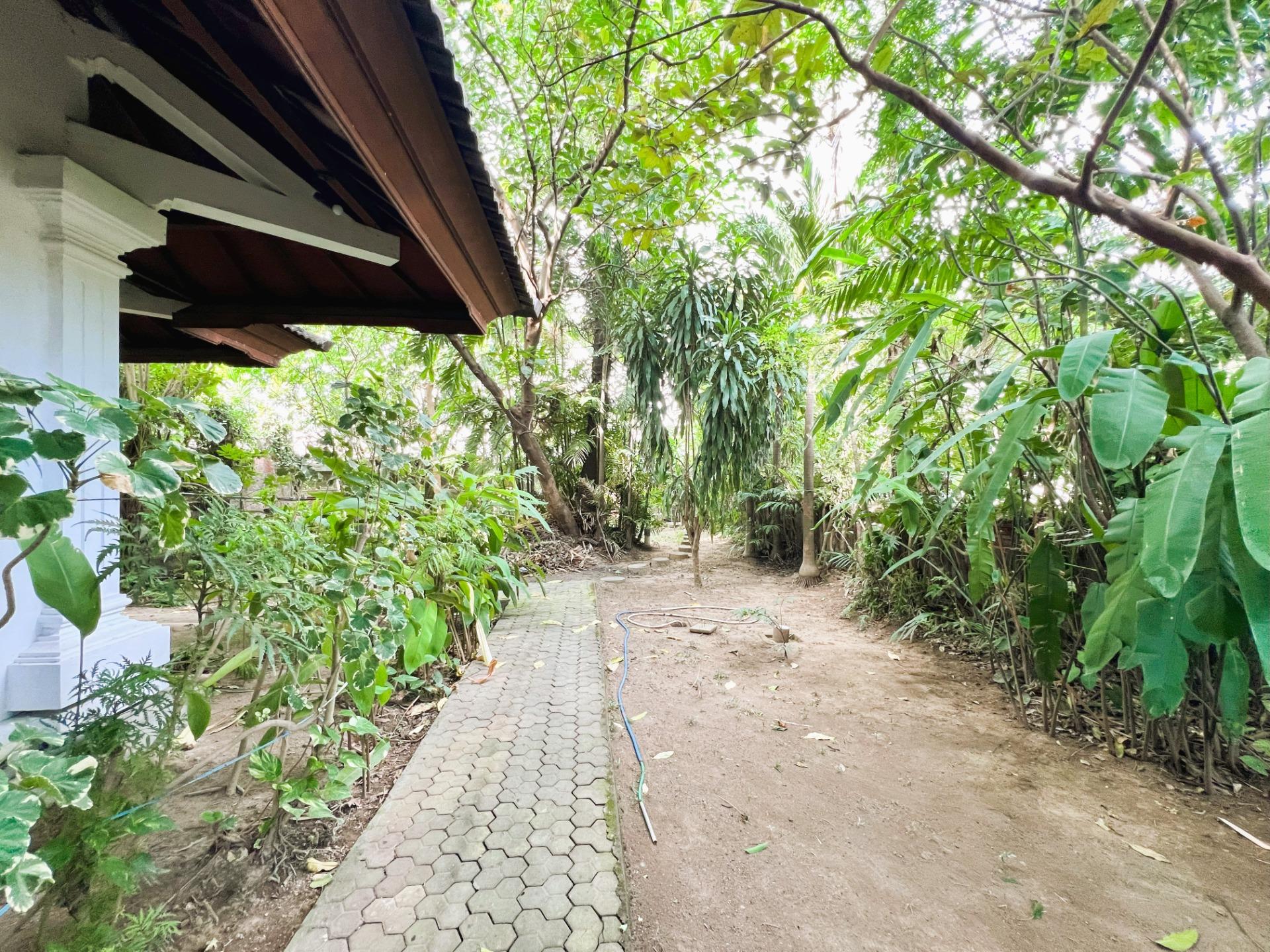 Casas o chalets-Venta-Bali-1421315-Foto-31