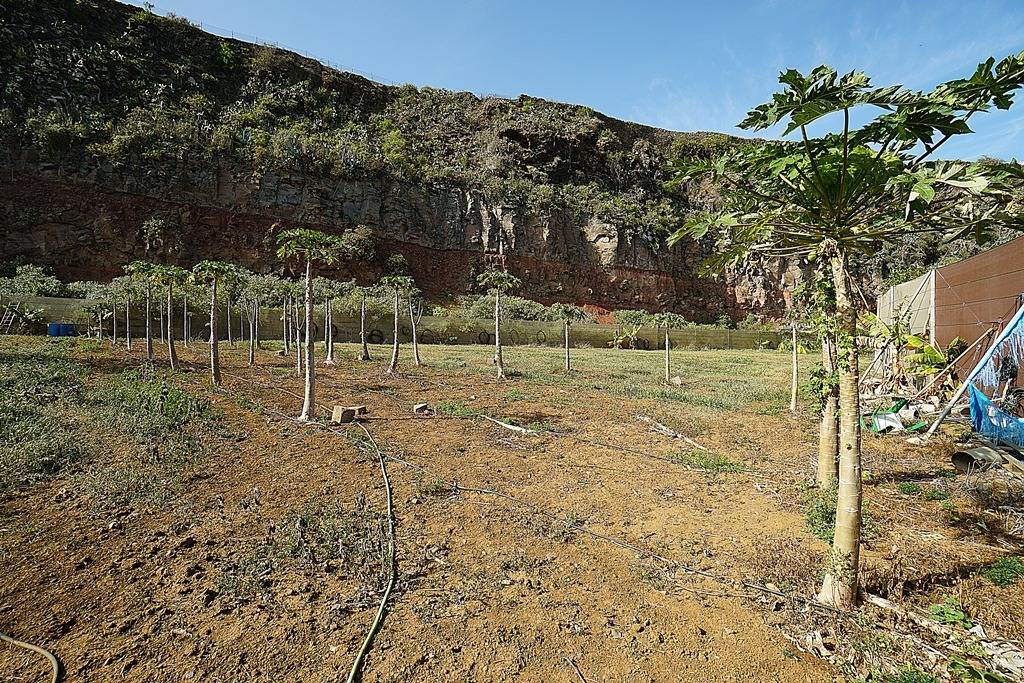 Pisos-Venta-Santa MarÃ­a de GuÃ­a de Gran Canaria-1051055-Foto-15