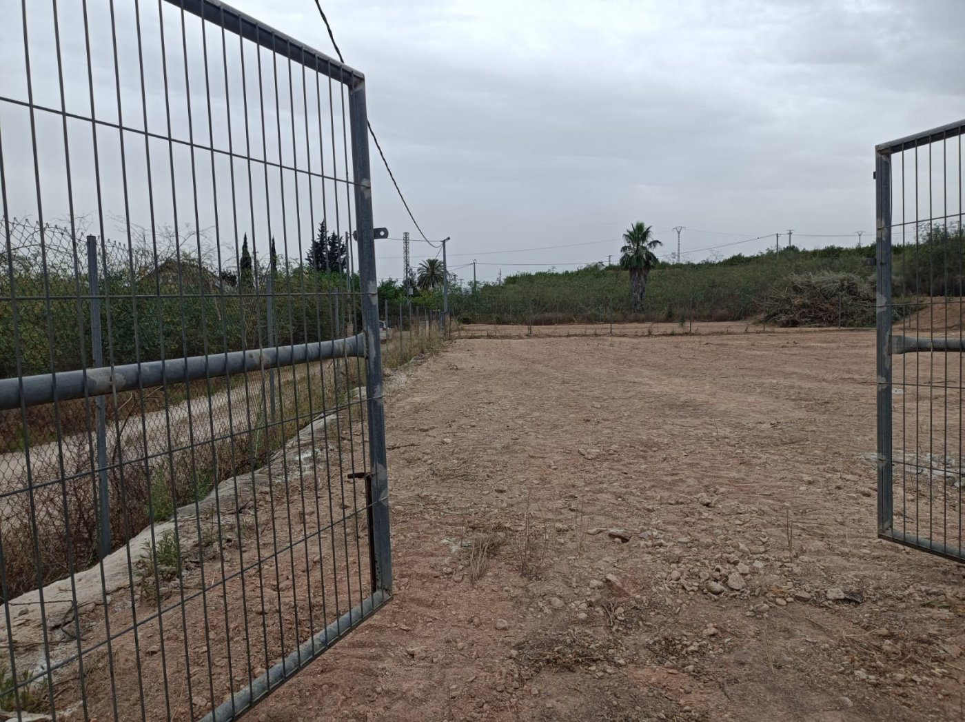 Fincas y solares-Venta-Murcia-822469-Foto-4