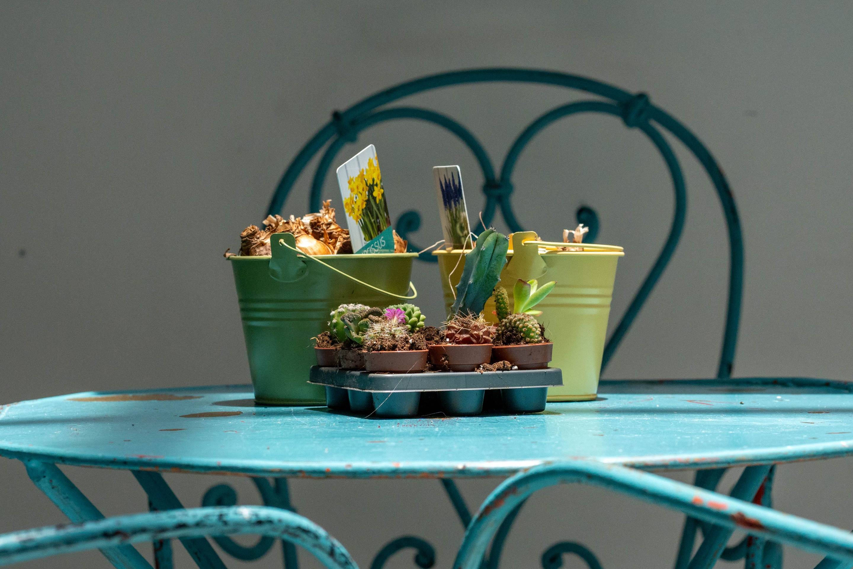 Pisos-Venta-Las Palmas de Gran Canaria-948261-Foto-54