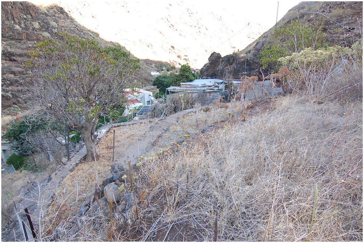 Fincas y solares-Venta-Santa Cruz de Tenerife-1431300-Foto-6