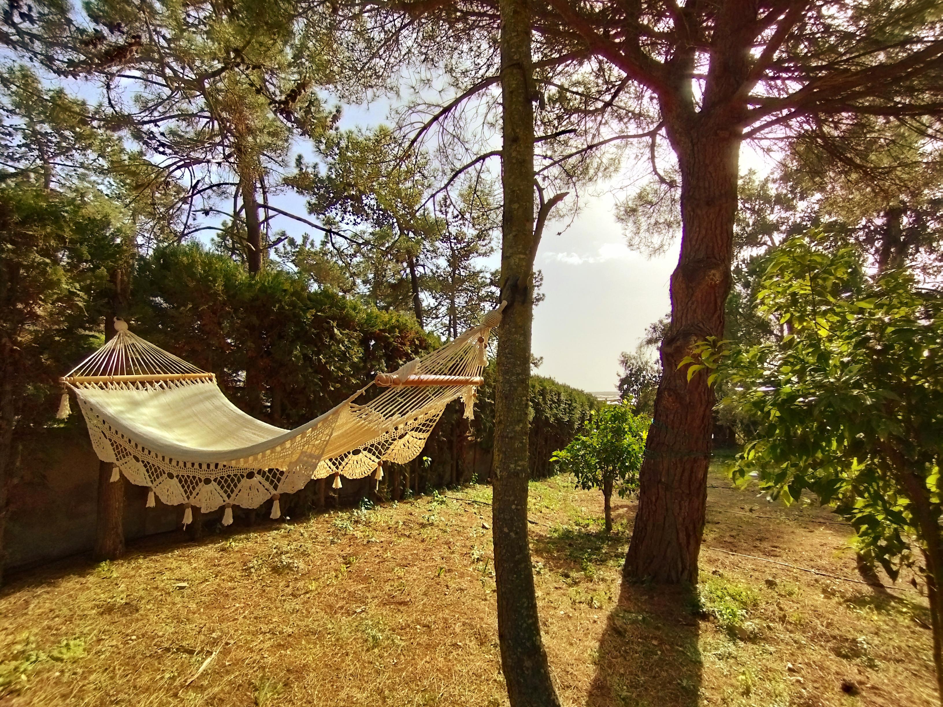 Casas o chalets-Venta-Isla Cristina-1094778-Foto-5