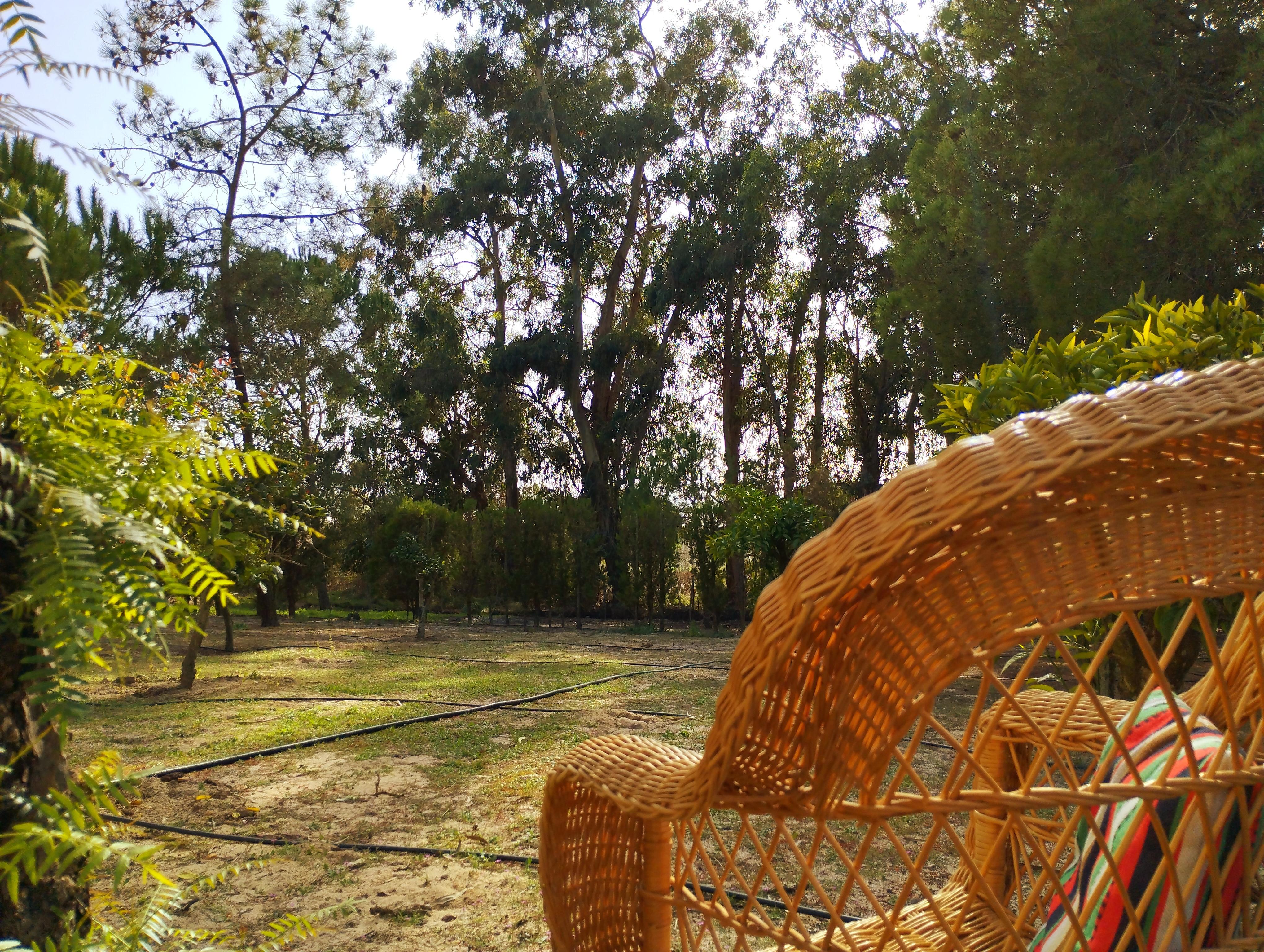 Casas o chalets-Venta-Isla Cristina-1094778-Foto-6