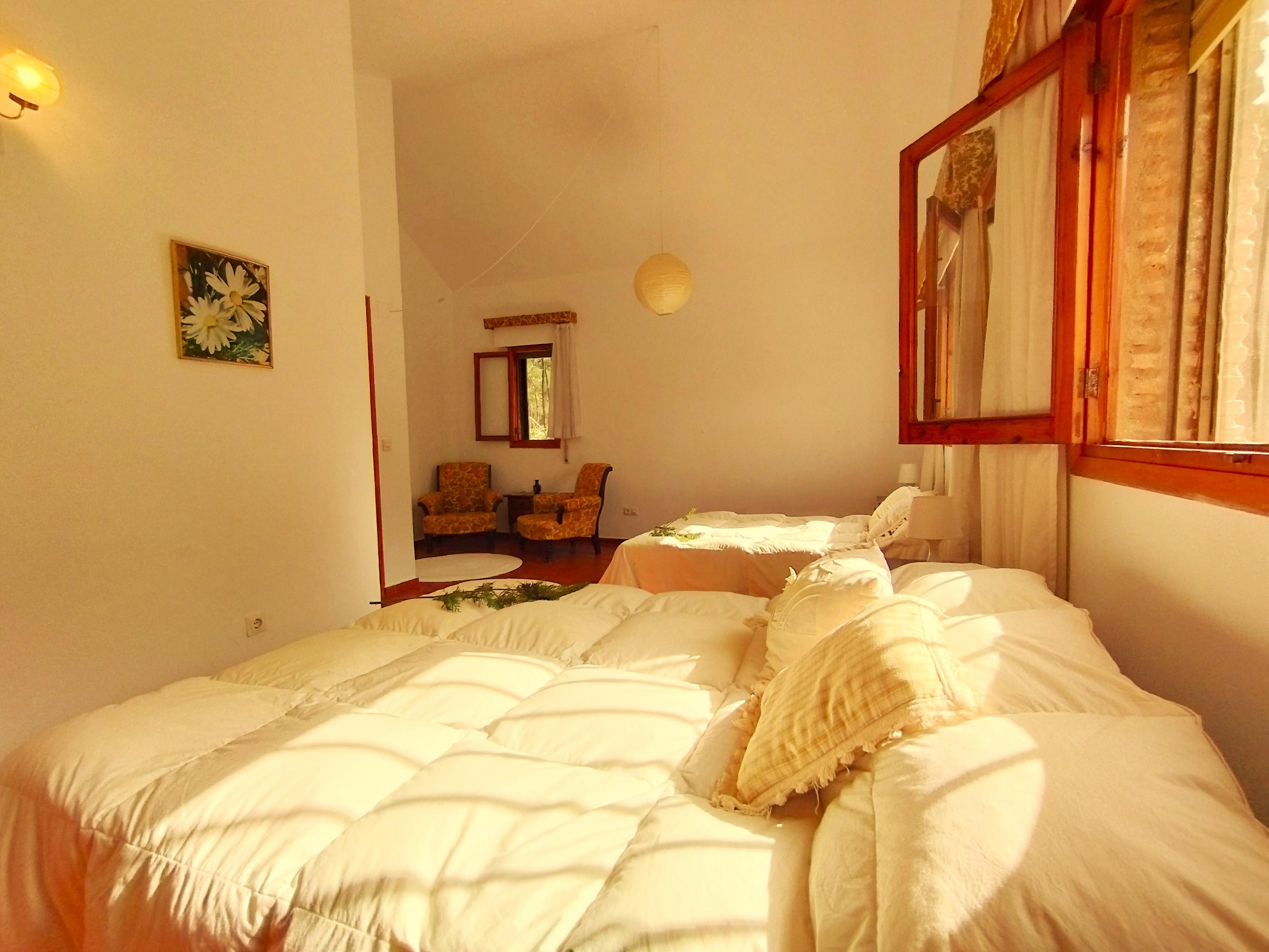 Casas o chalets-Venta-1094778