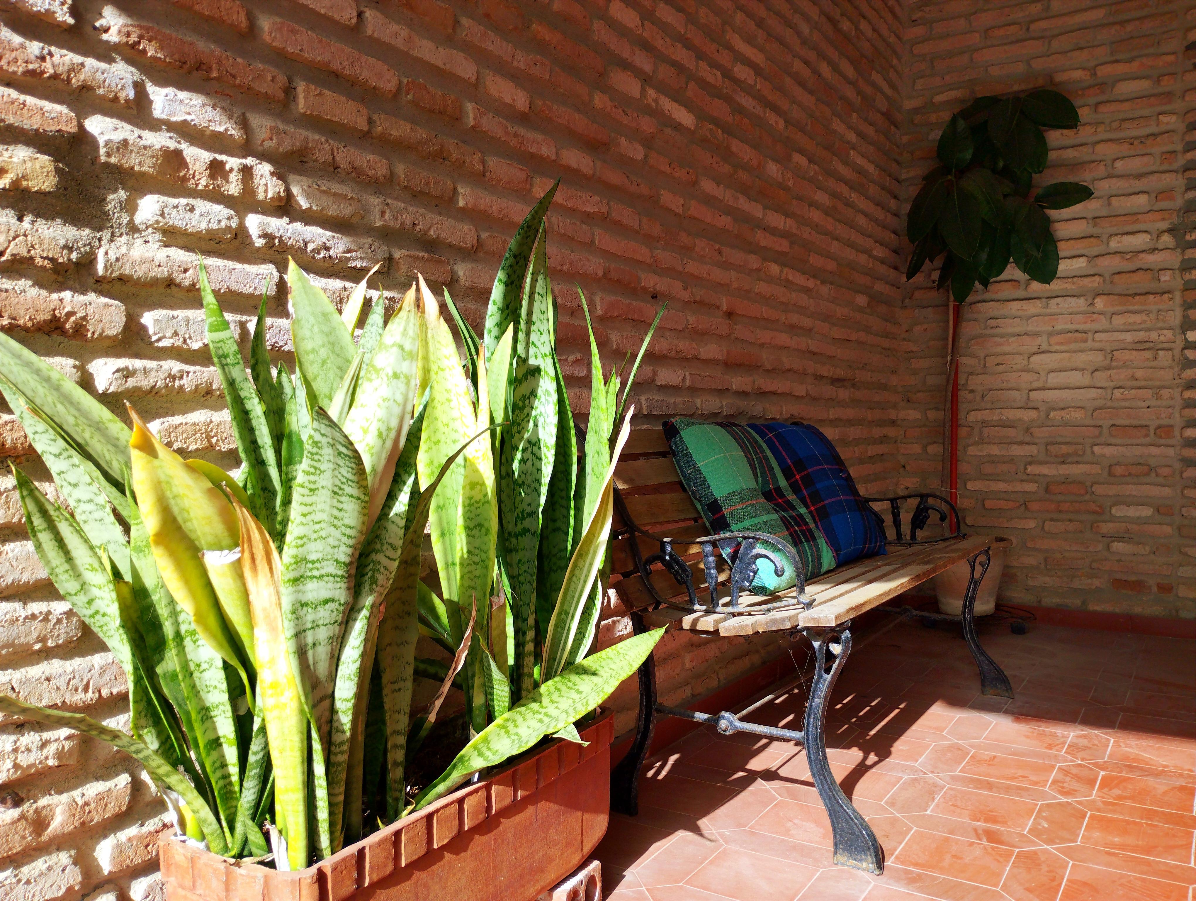 Casas o chalets-Venta-Isla Cristina-1094778-Foto-7